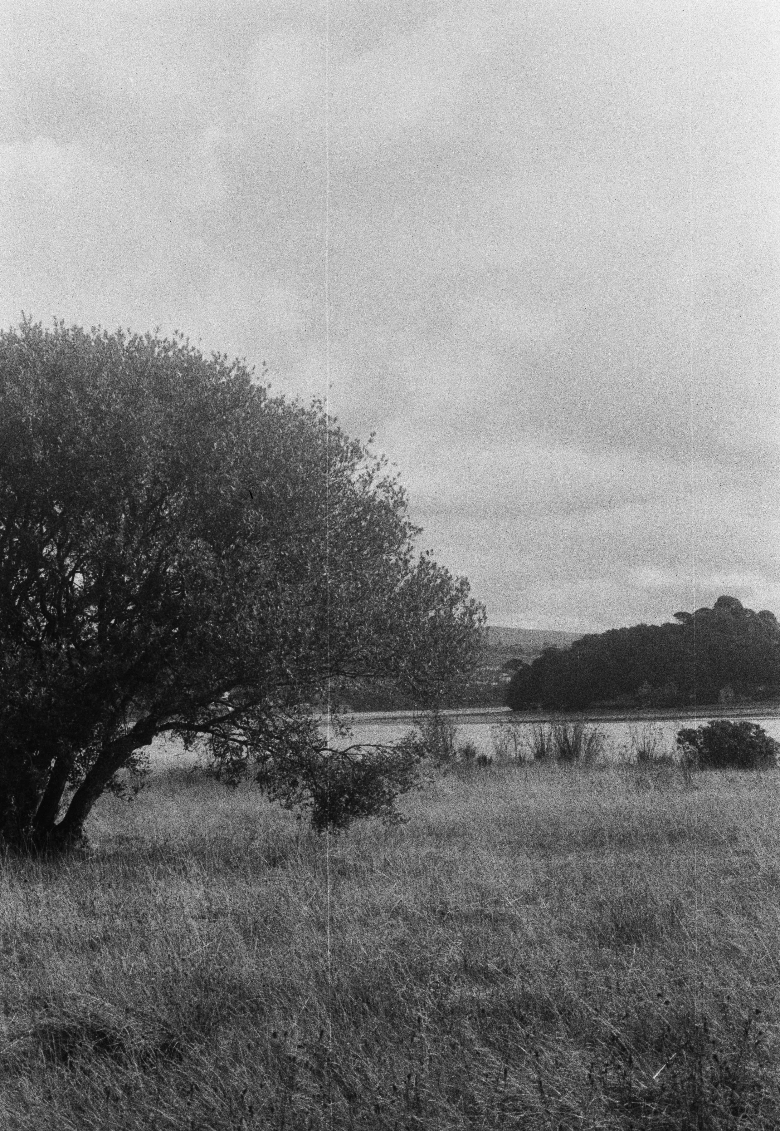 K100 C2HP 240826 (4) Ricoh TF-900.jpg
