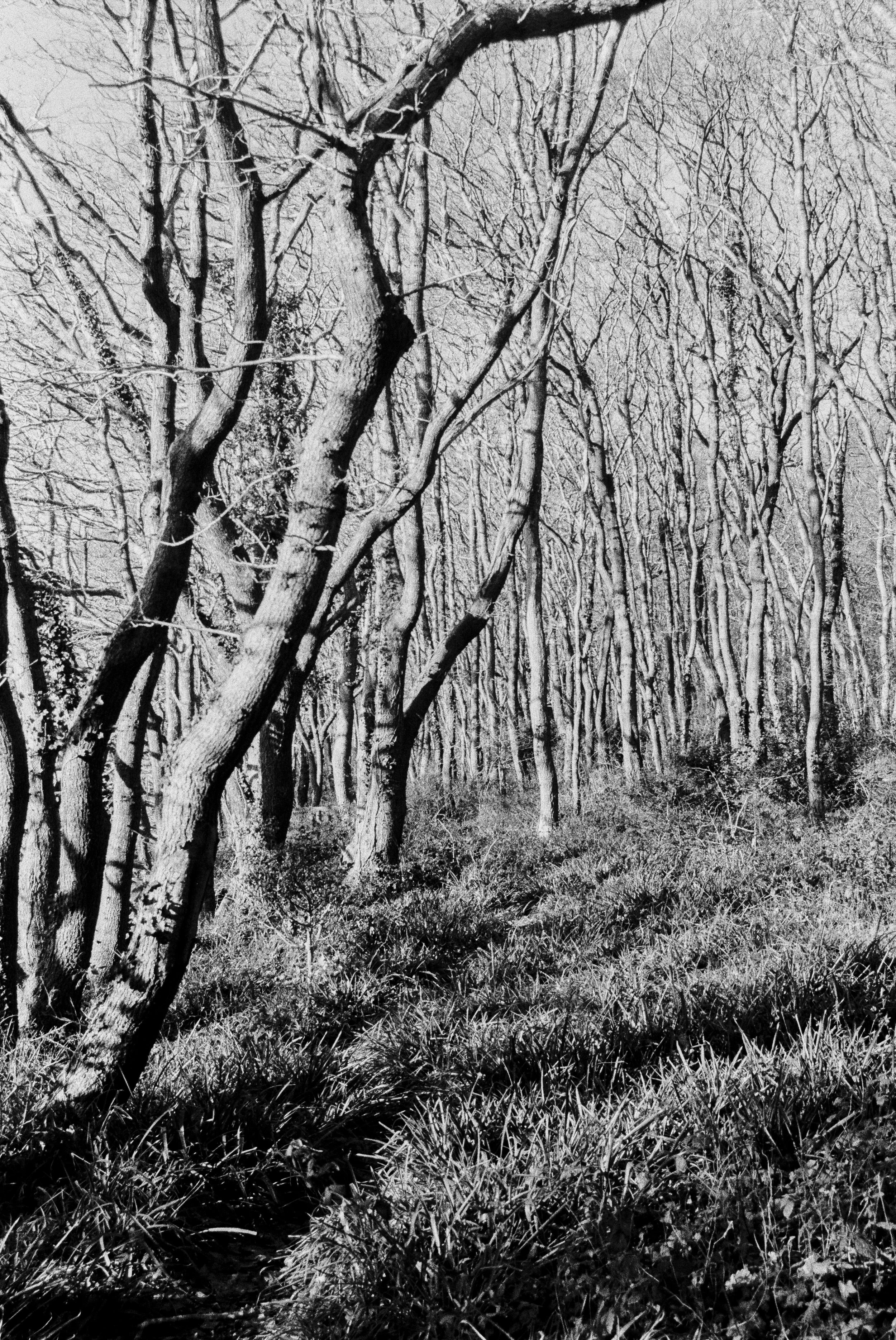 K400 A 221225 (8) Minolta Dynax 5 28-80.jpg