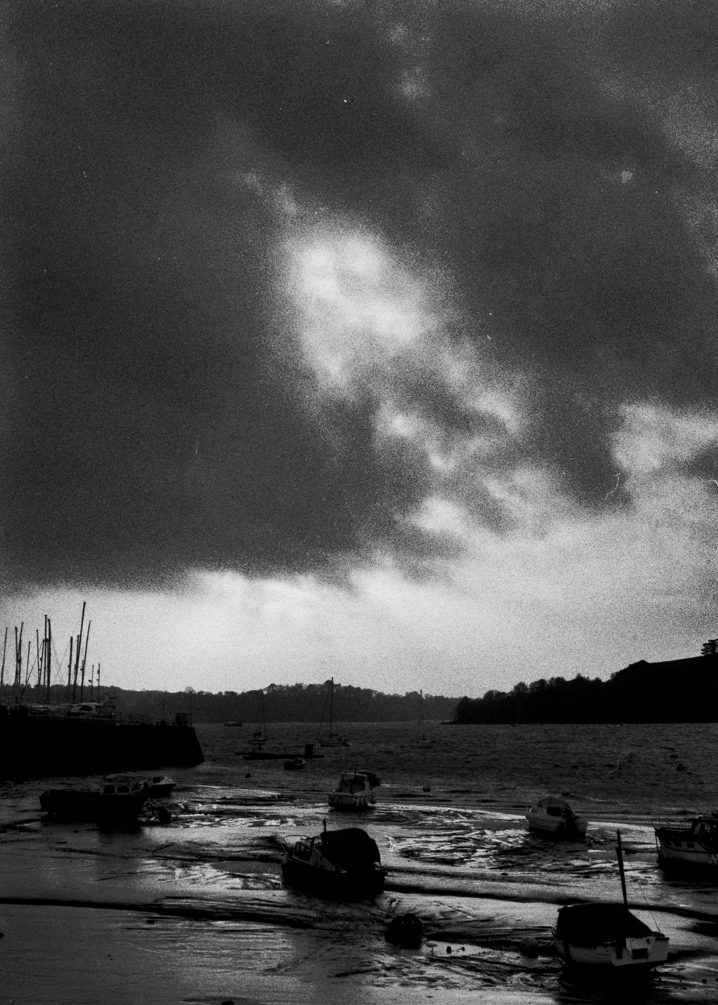 Fomapan 200 061225 Torn (12) Halina Pax Ruby.jpg