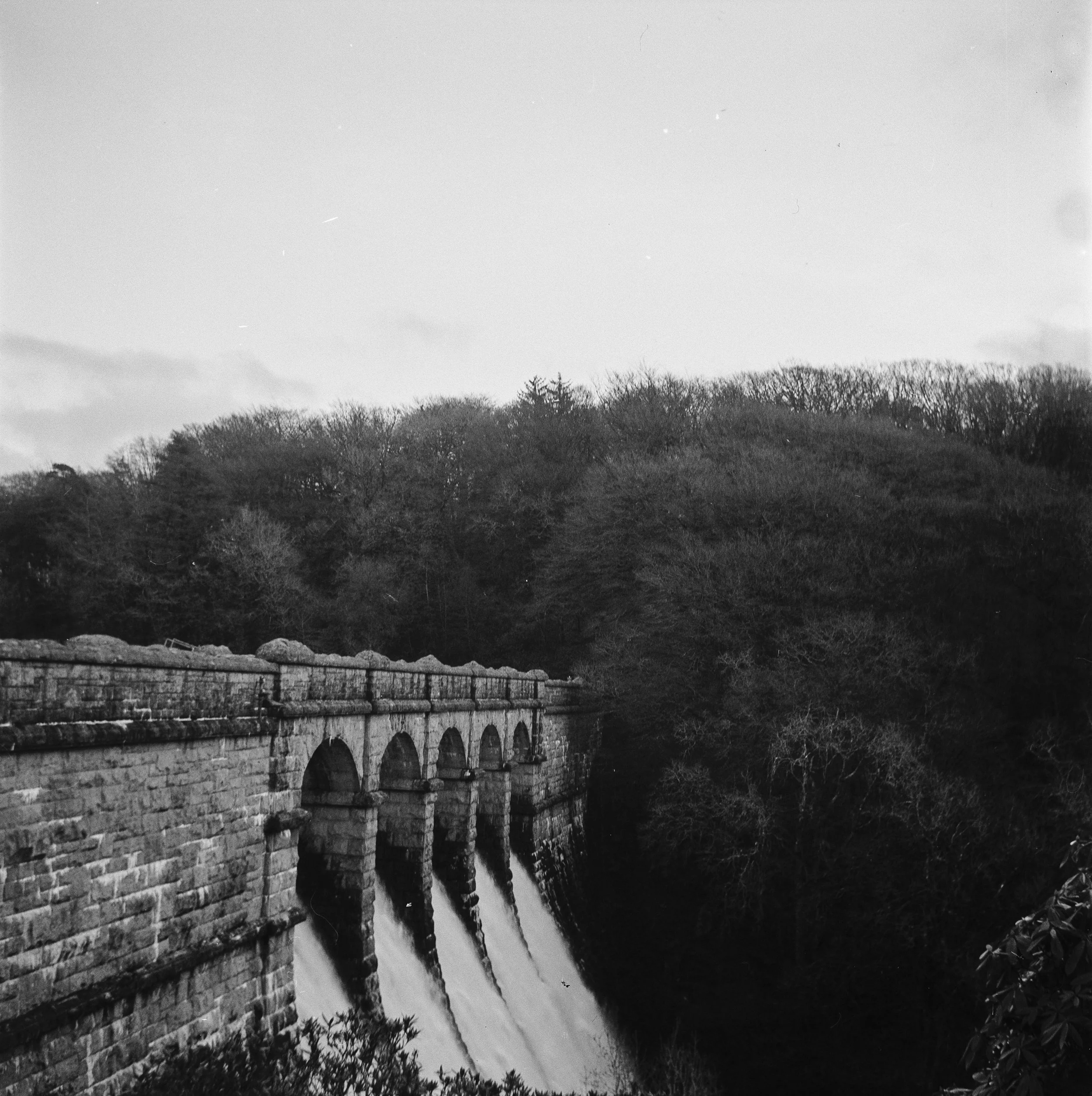120 Kentmere 200 151225 (4) Lubitel 166 Universal.jpg