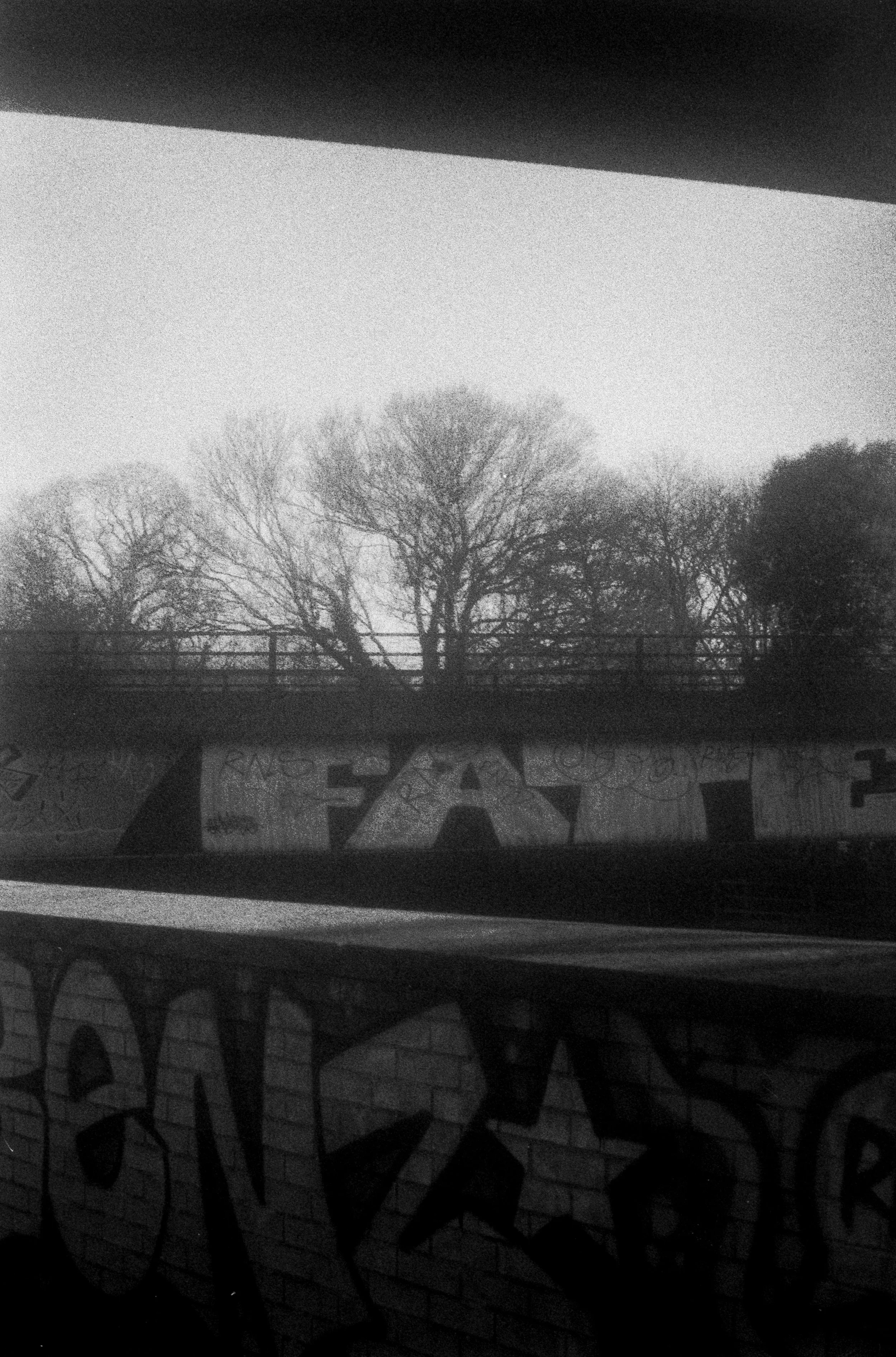 Fomapan 200 061225 Torn (16) King Regulette.jpg