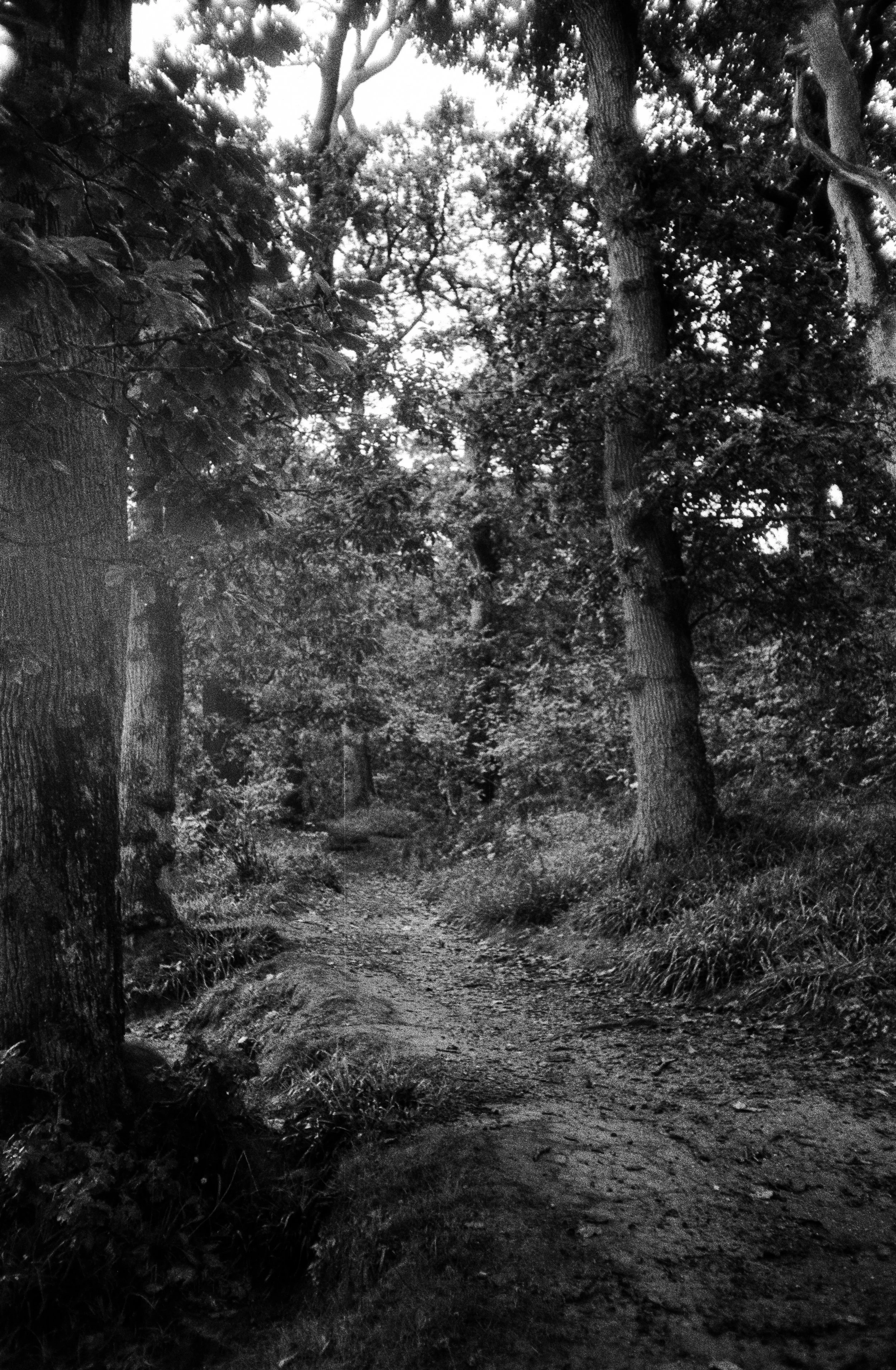 K400B HP 020925 Torn (15) Canon Sure Shot AF-7.jpg