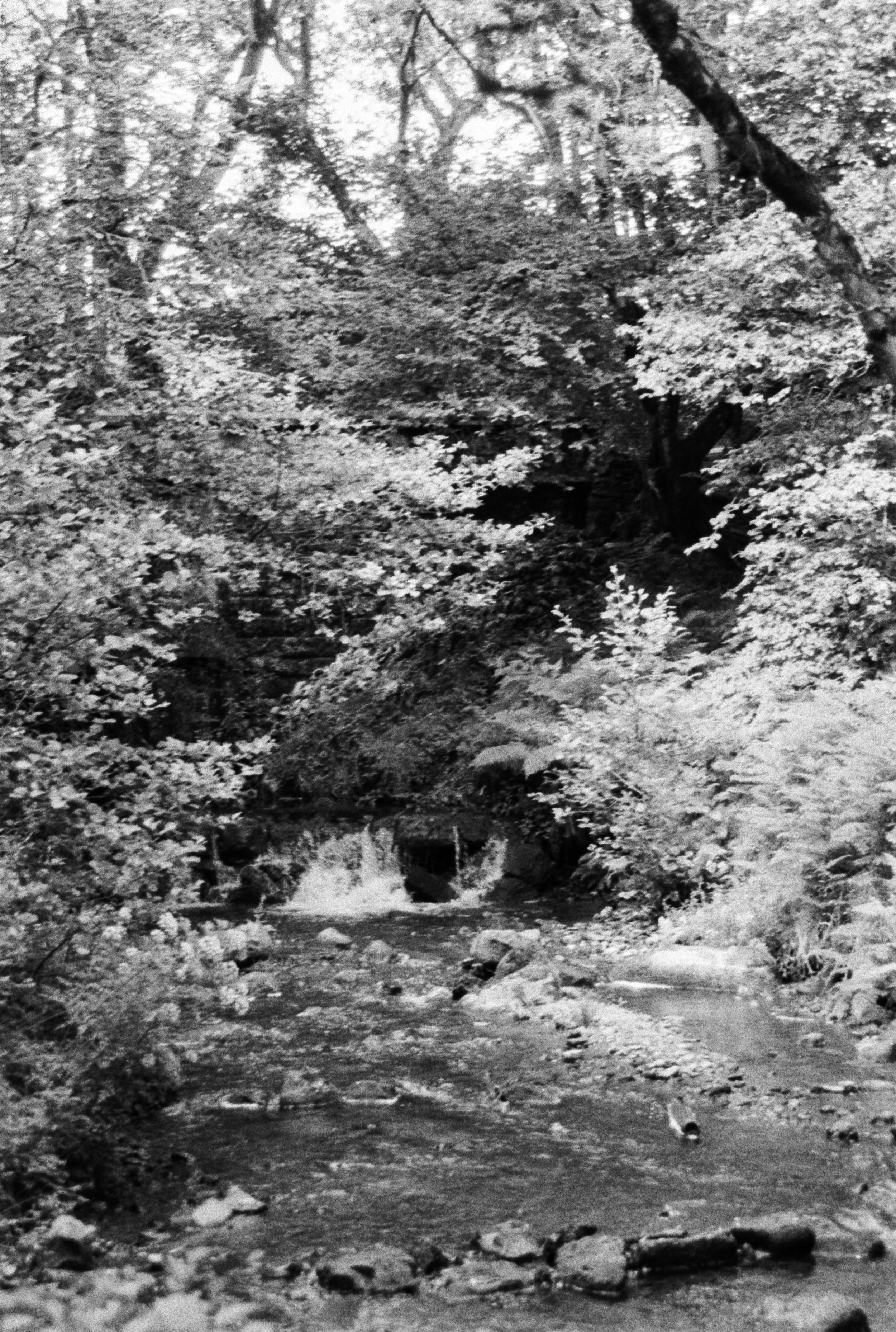 K400A 200626 (16) Minolta Dynax 300si 35-70mm.jpg