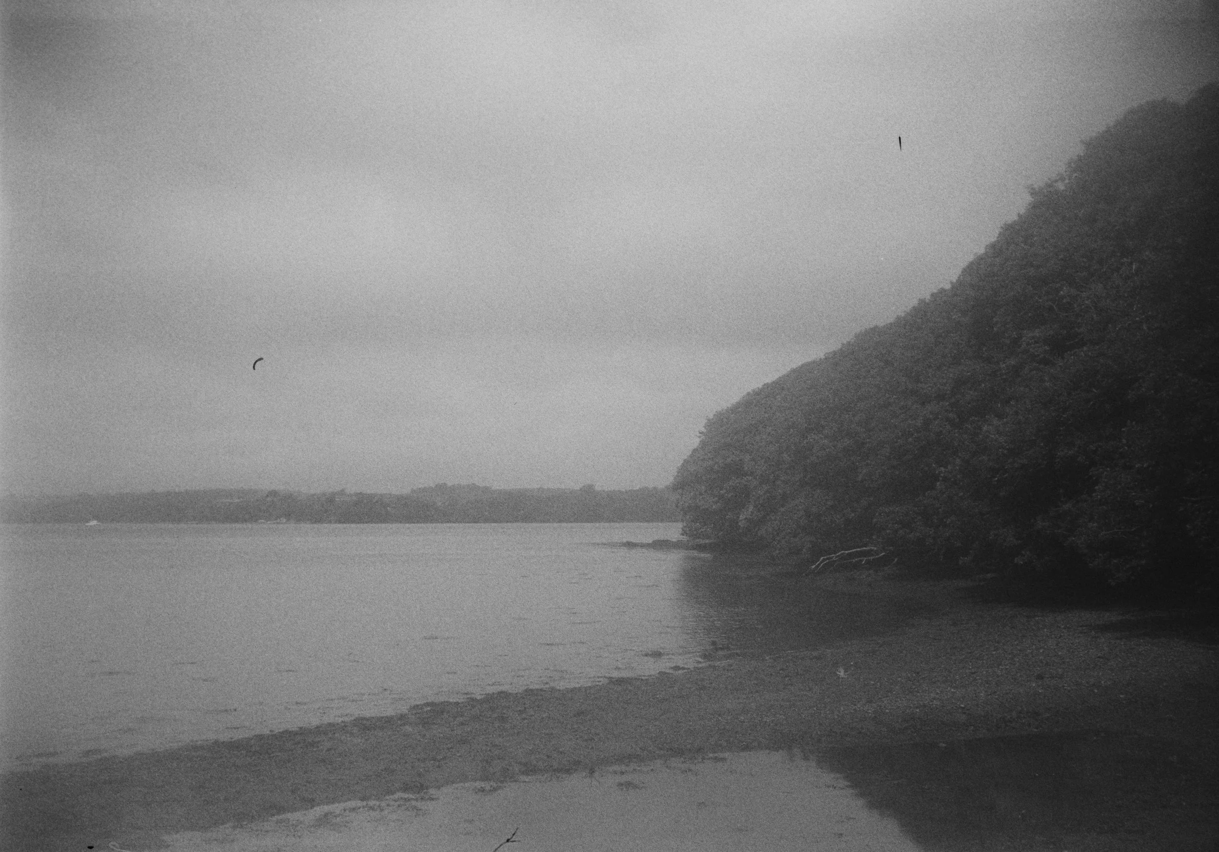 Type 517 A 120526 (13) Halina 35X Super .jpg