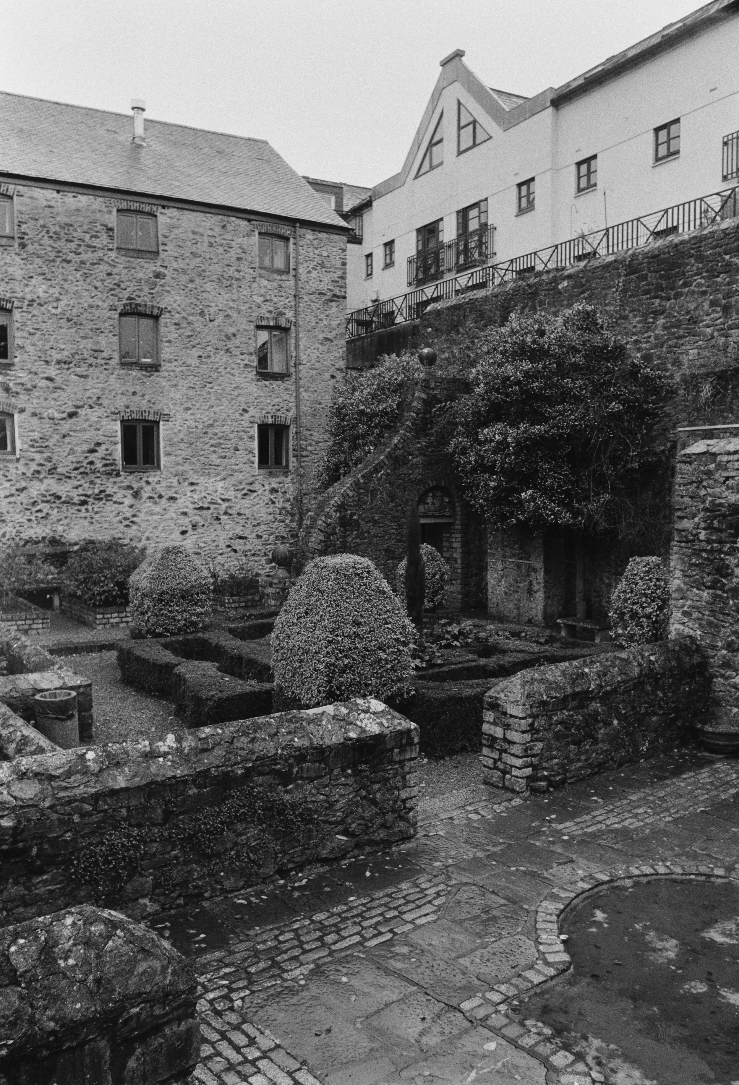 Kentmere 100 - Test 231124 28 - BCA 28mm Prime.jpg