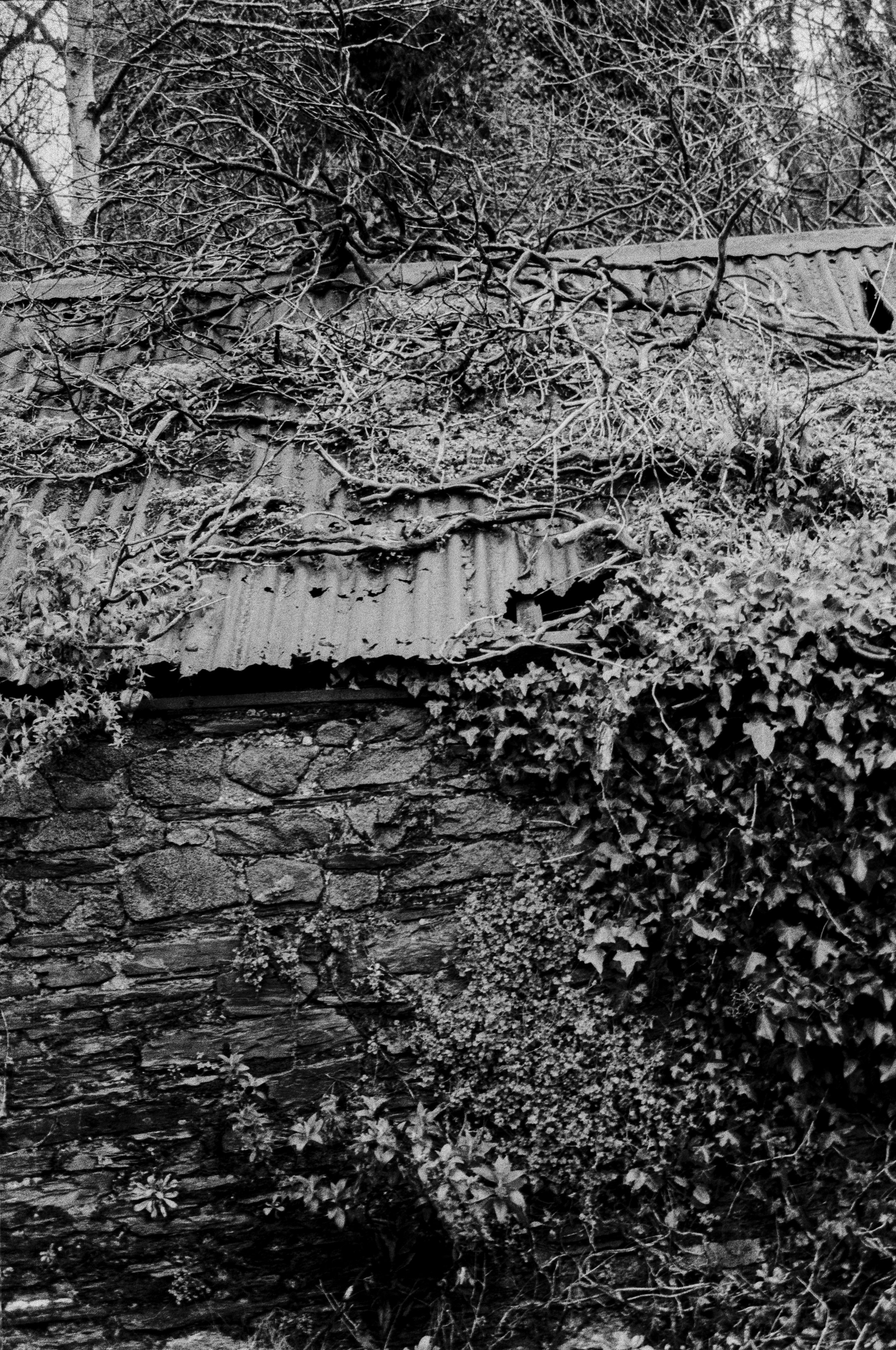 K100 A 010226 (32) Dynax 505si Super 35-70mm.jpg