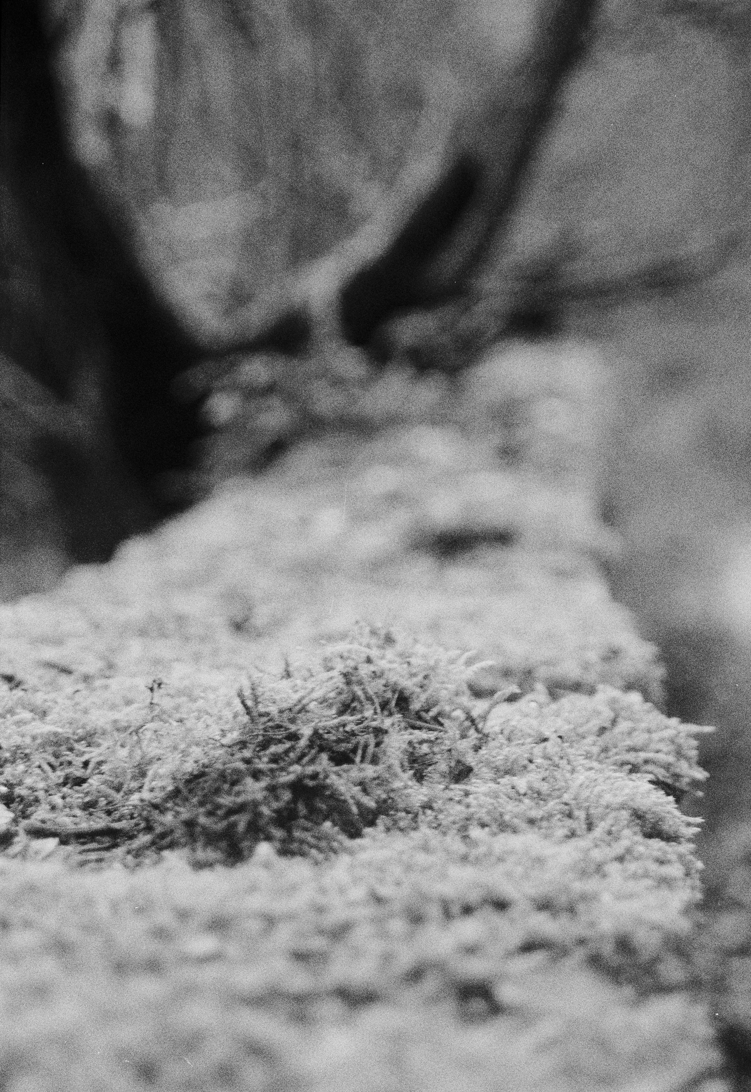 K400 B HP 101225 (37) Minolta Dynax 404si 35-80.jpg