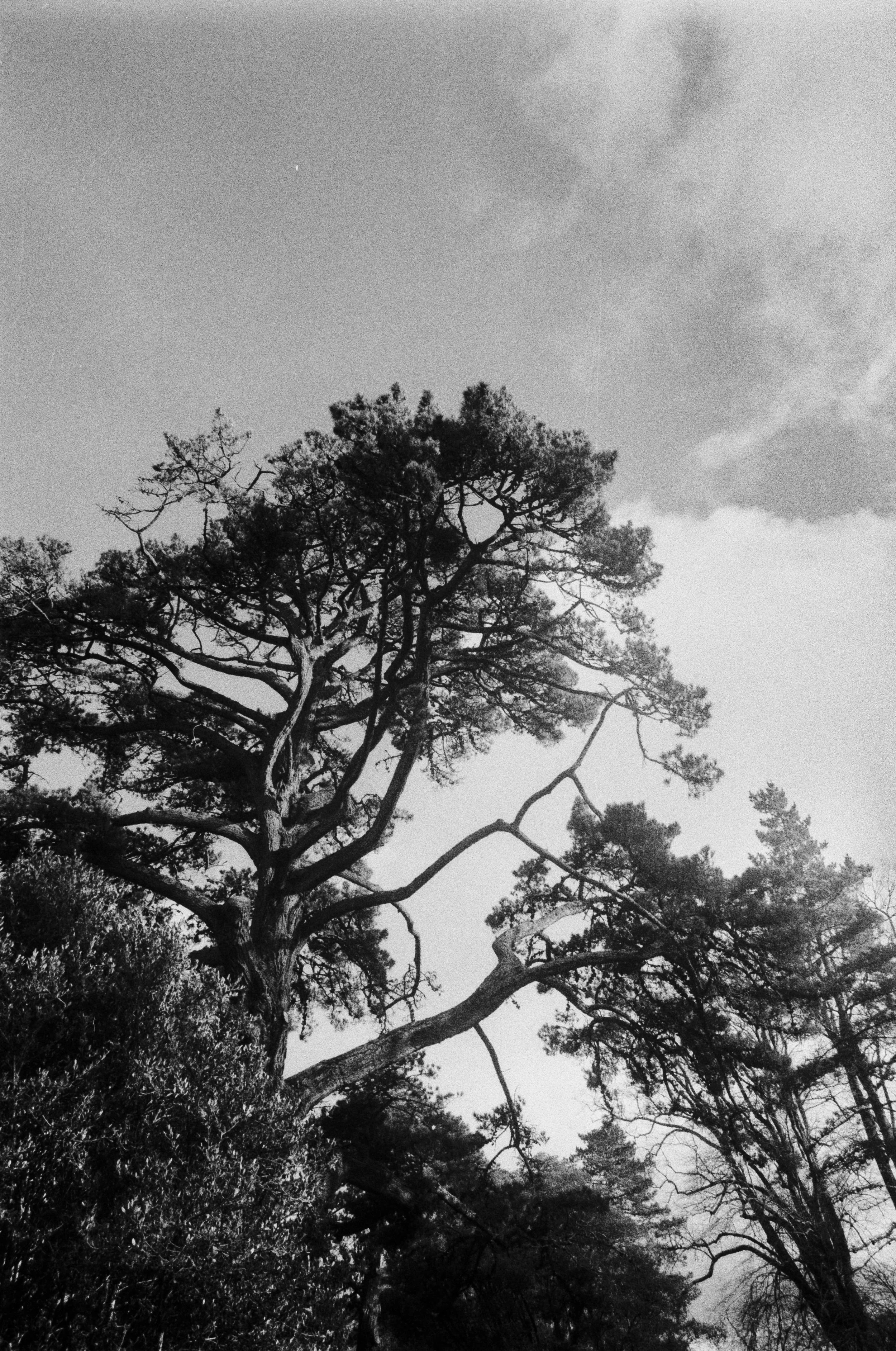 K400A 131025 (26) Olympus OM10 28mm Winder.jpg