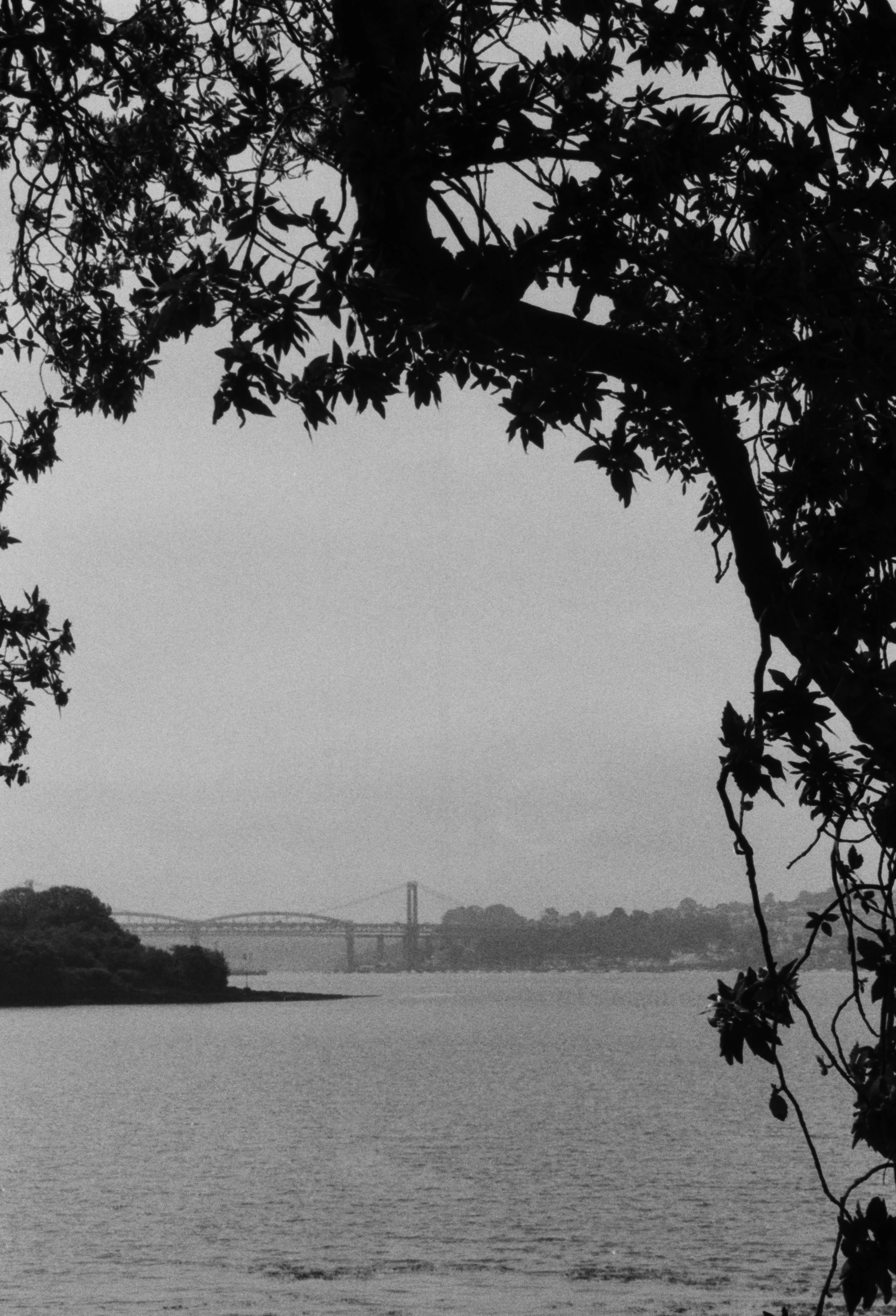 K400A 120526 (7) Yashica Zoomate 115.jpg