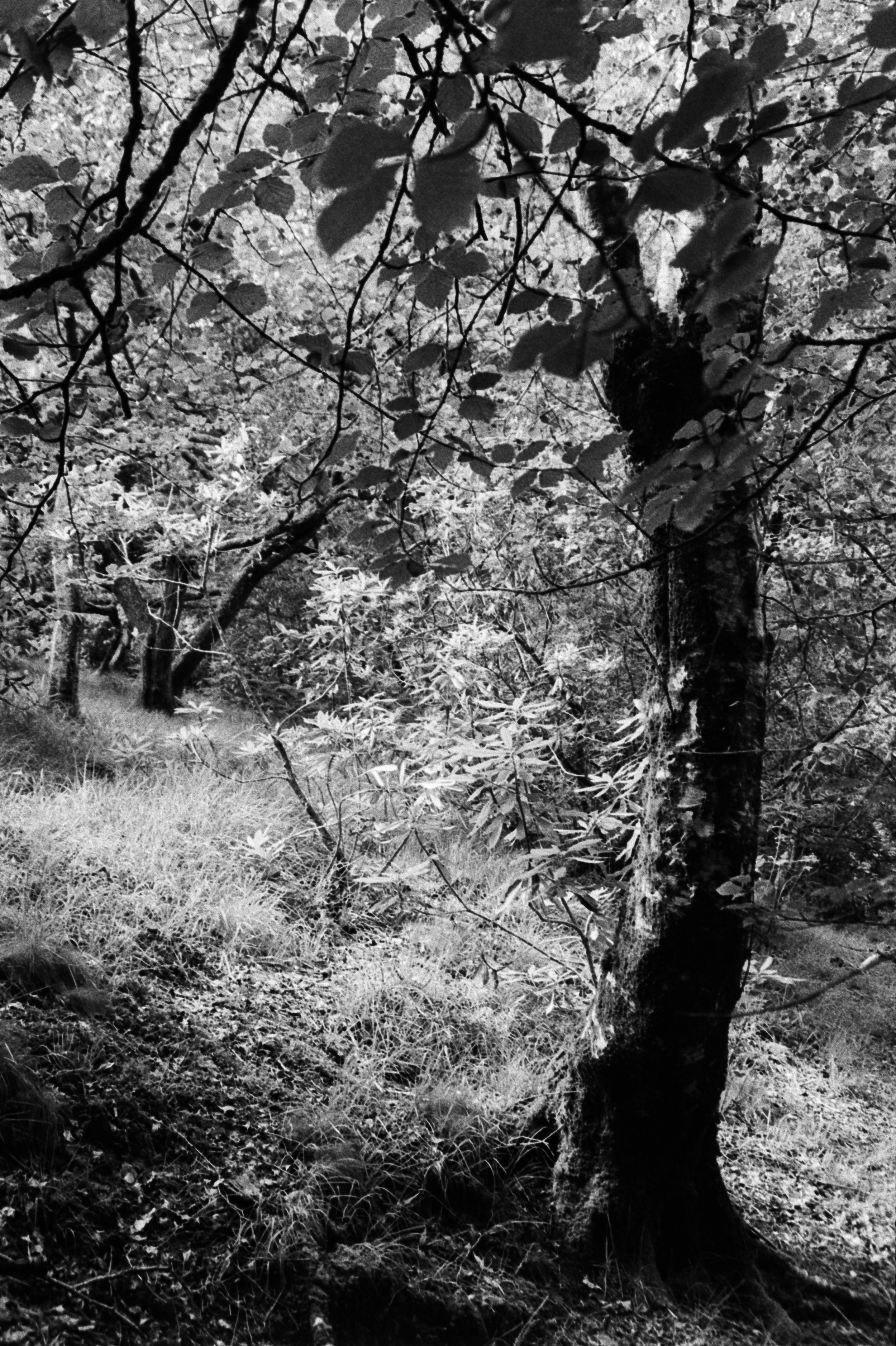 K400A 200626 (11) Min AF 35-80mm (017).jpg
