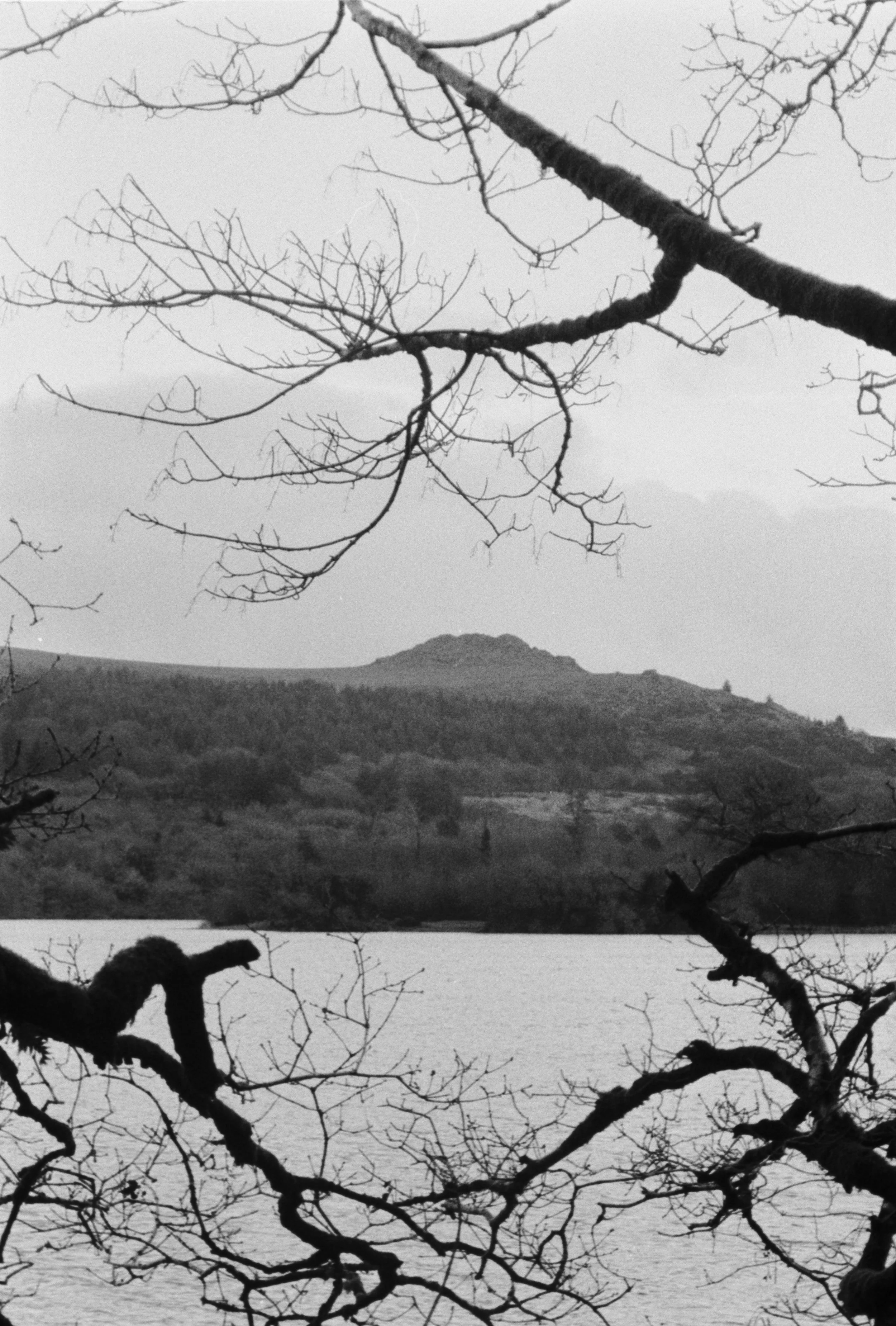 K400 BHP 221225 (1) Yashica Zoomtec 90 Super.jpg