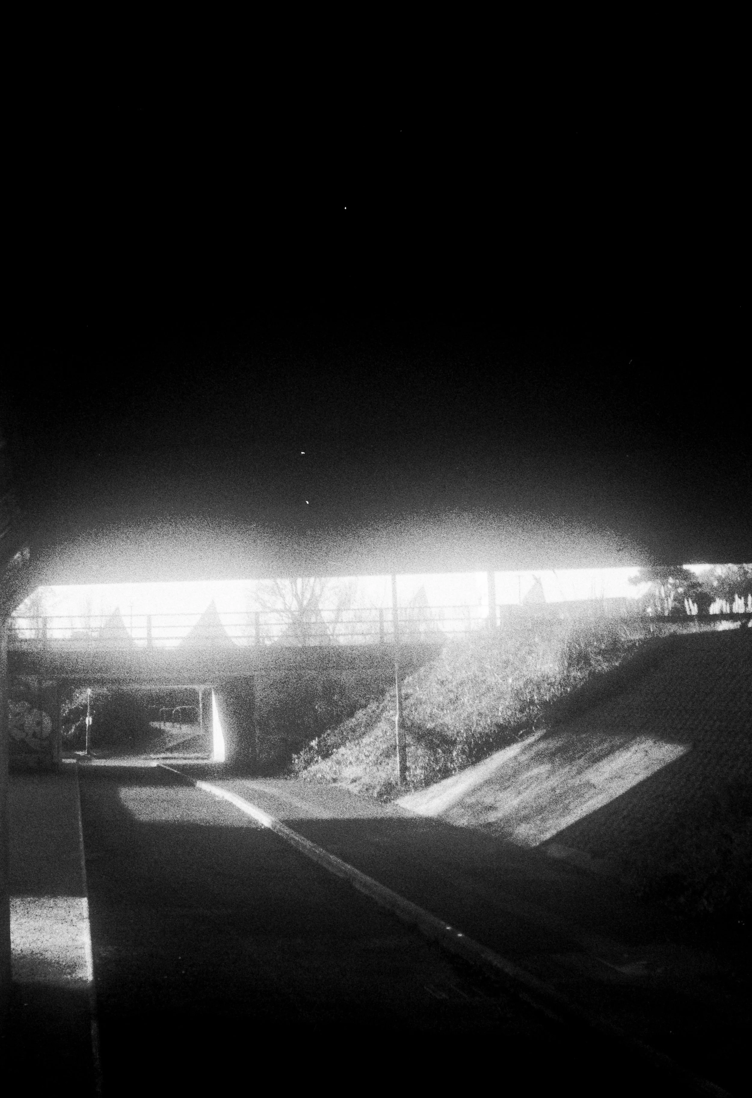 Fomapan 200 061225 Torn (13) Braun Paxette.jpg