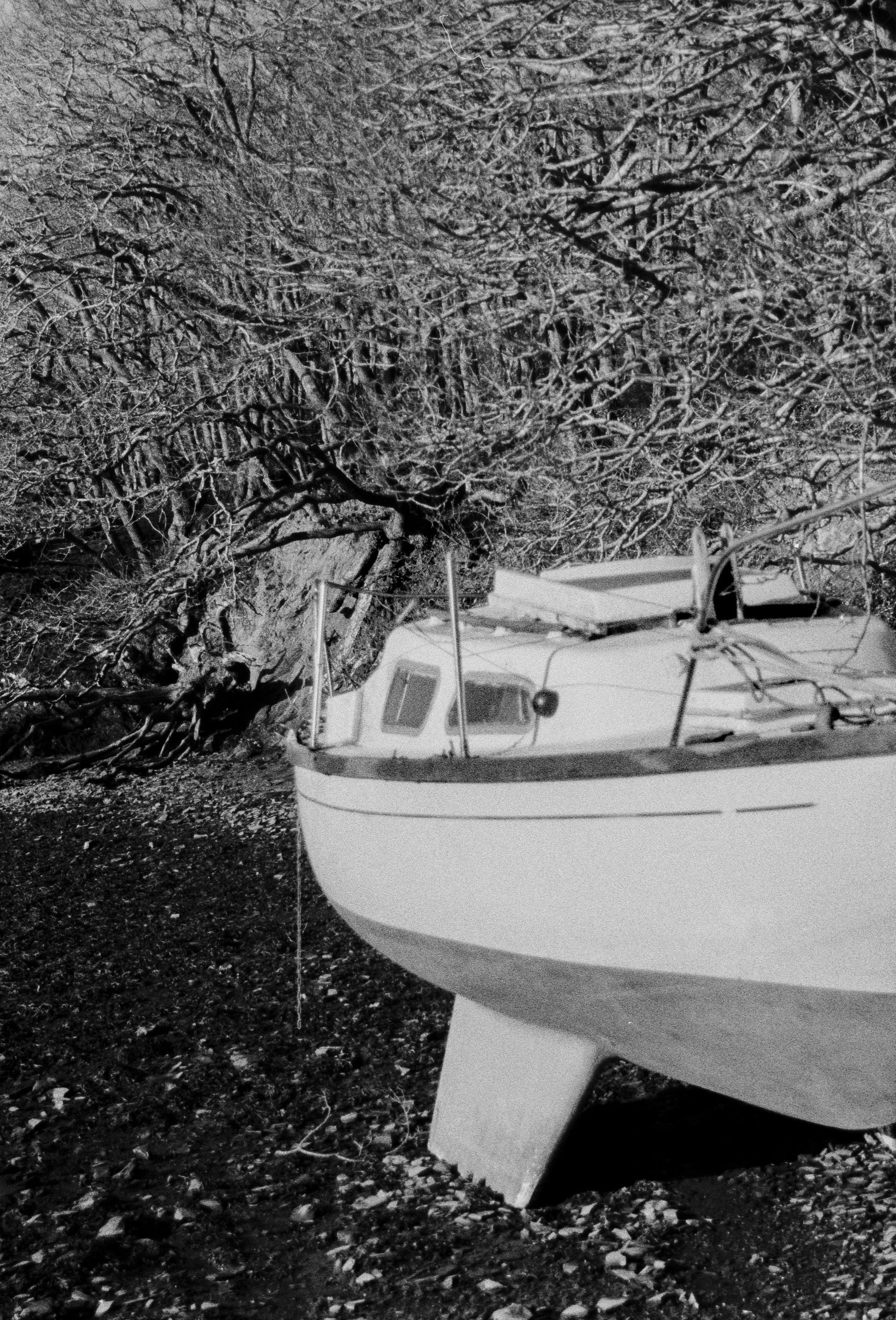 K400 A 221225 (7) Minolta Dynax 5 28-80.jpg