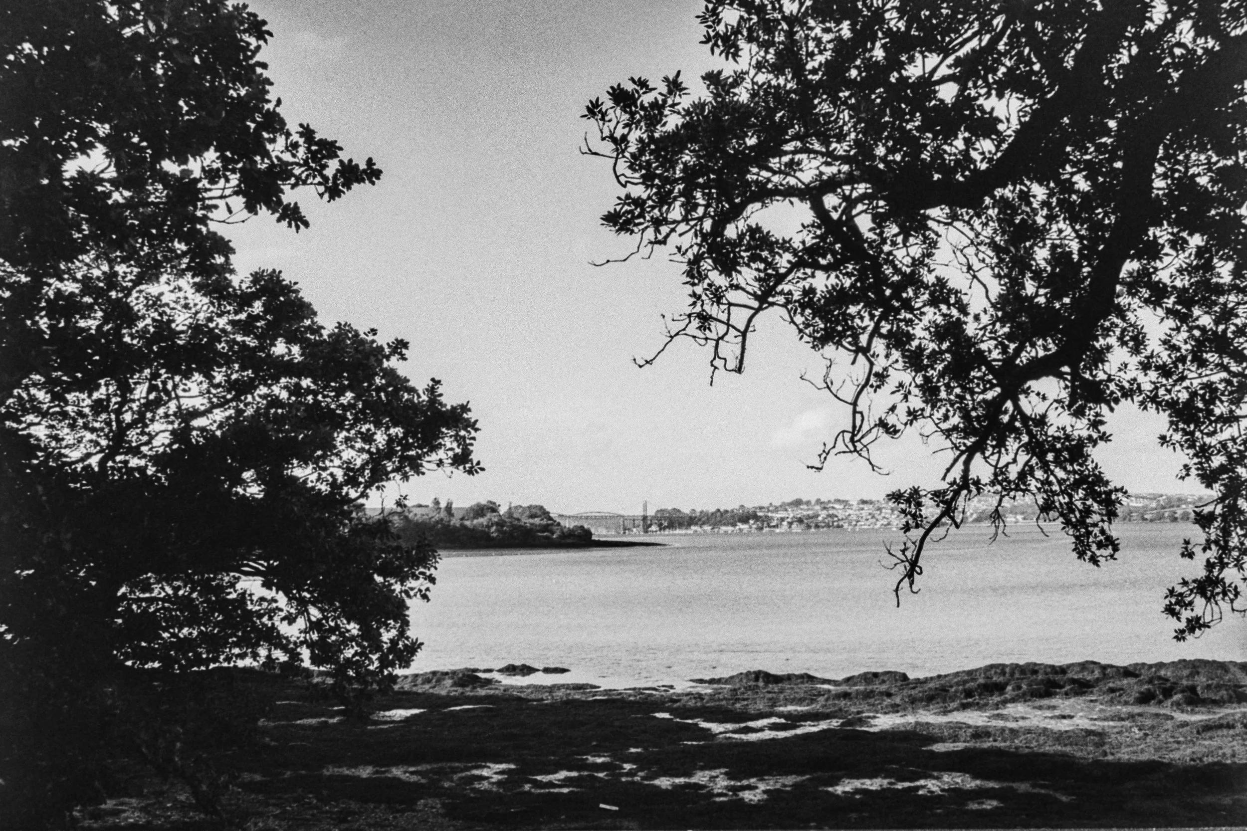 K100 A 22 08 26 (12) - Minolta X-300.jpg