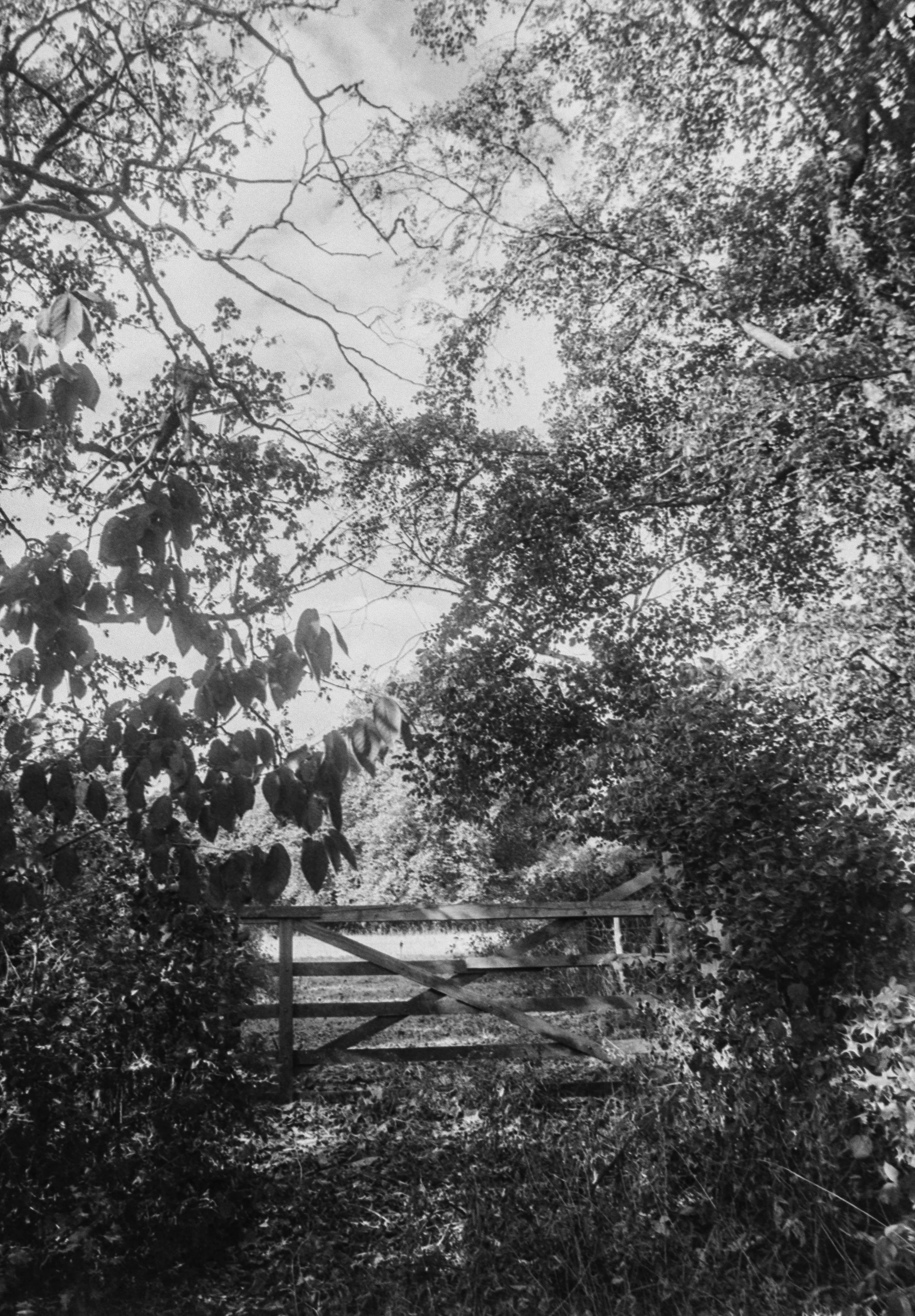 Type 517 A 170826 (27) Ricoh KR-5 .jpg