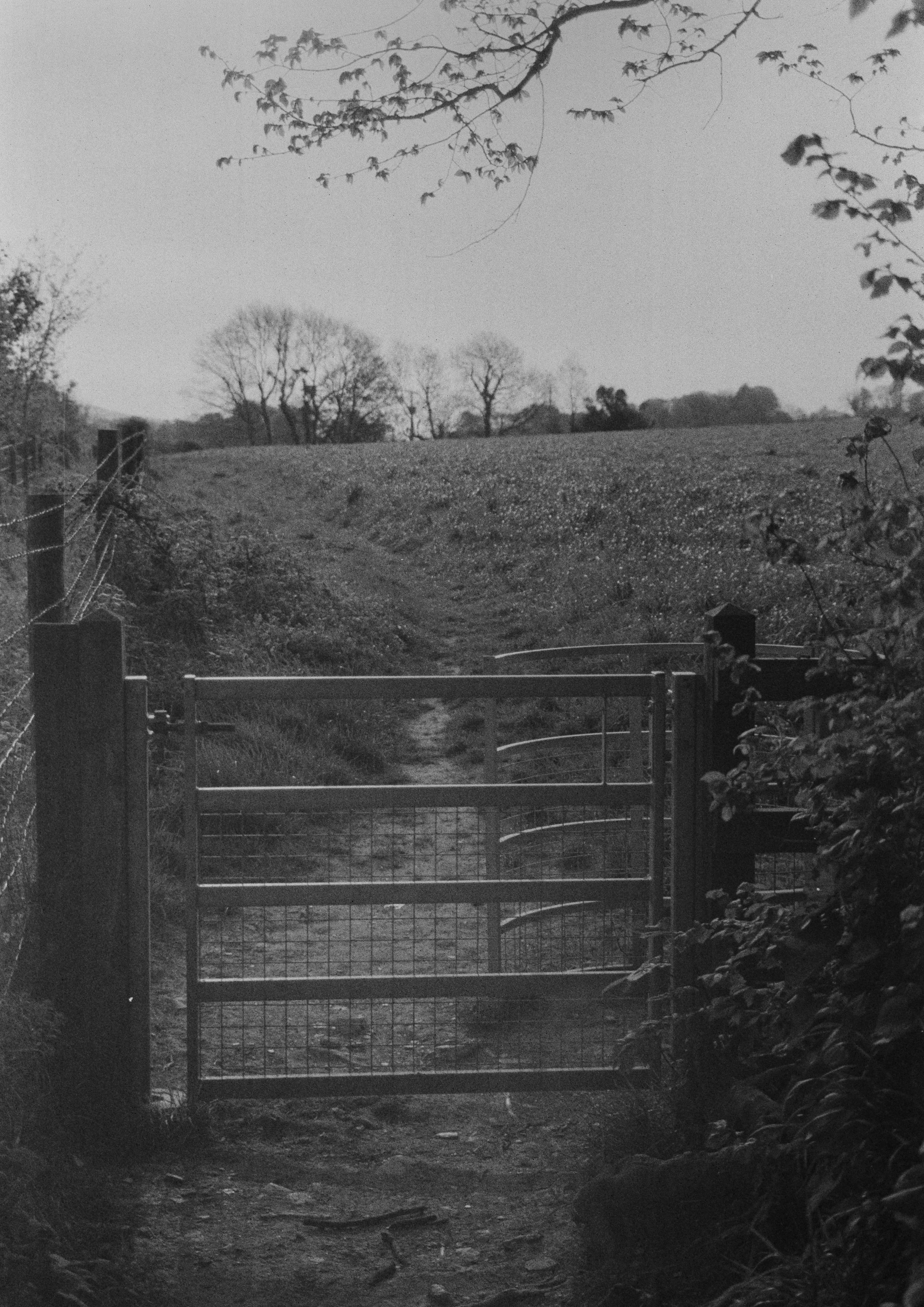 K100 BHP 190426 (8) Praktica BX20 35-70mm.jpg