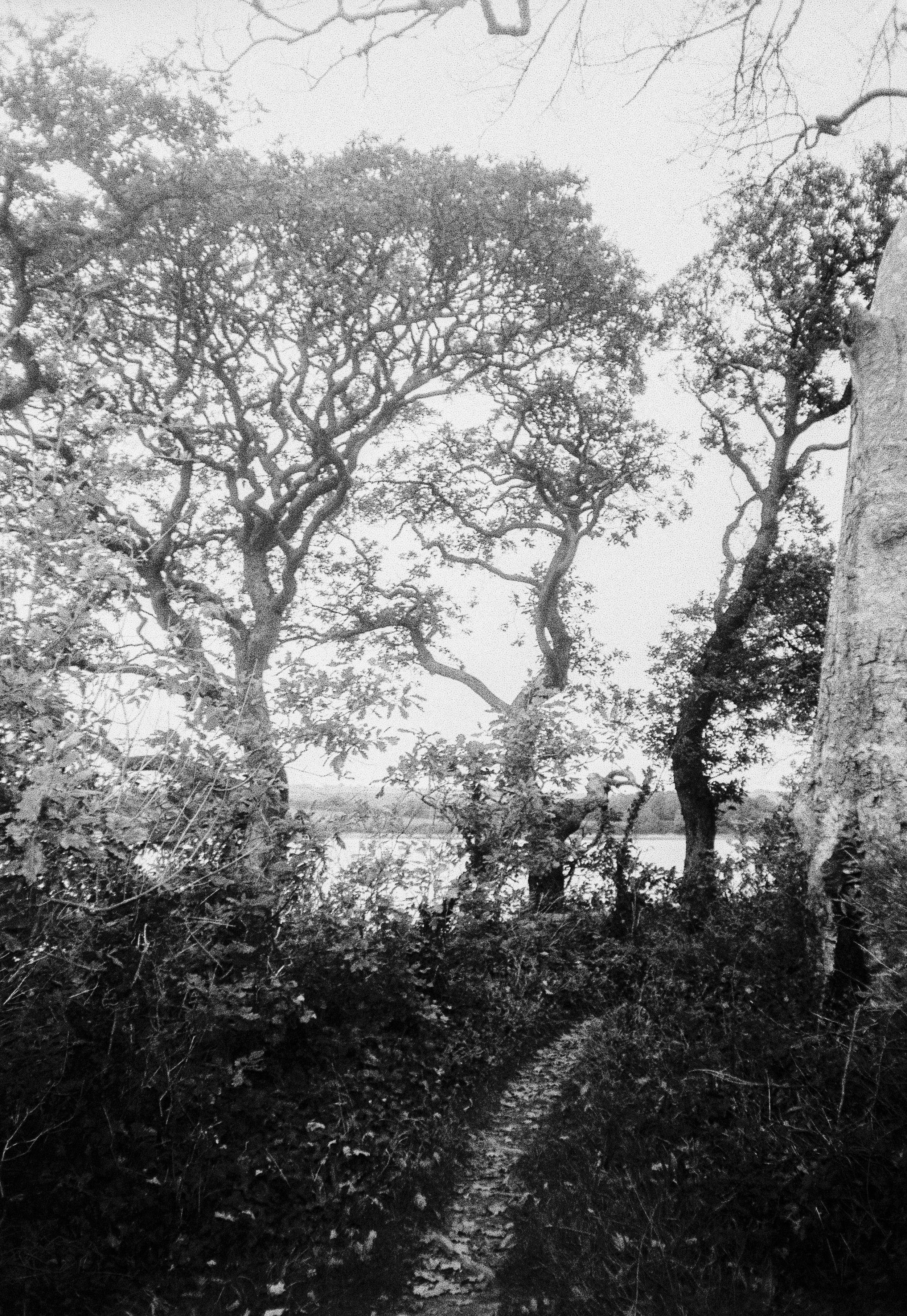 K200B HP 24 131025 (14) Nikon AF200.jpg