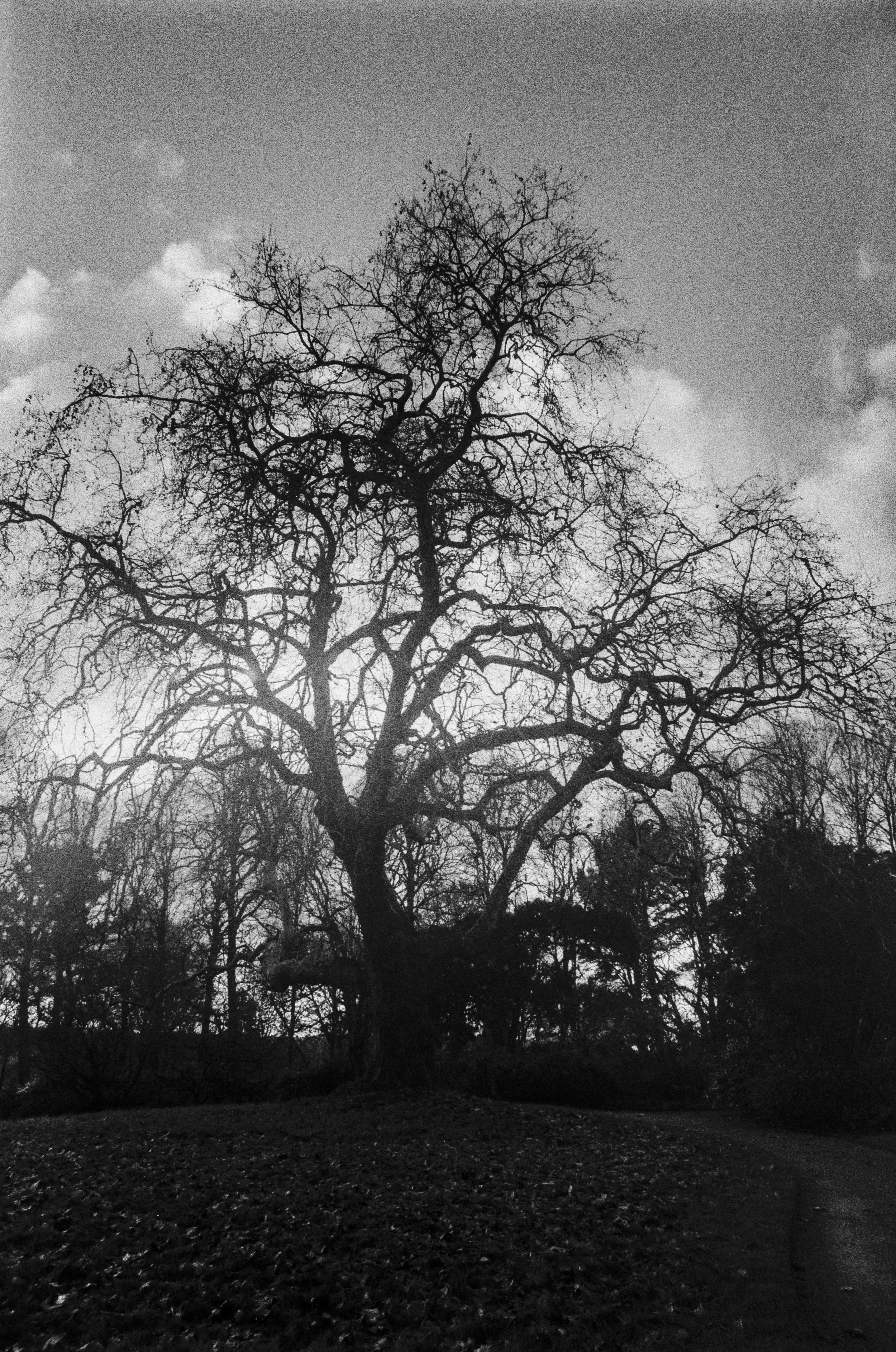 K400A 131025 (22) Olympus OM10 28mm Winder.jpg