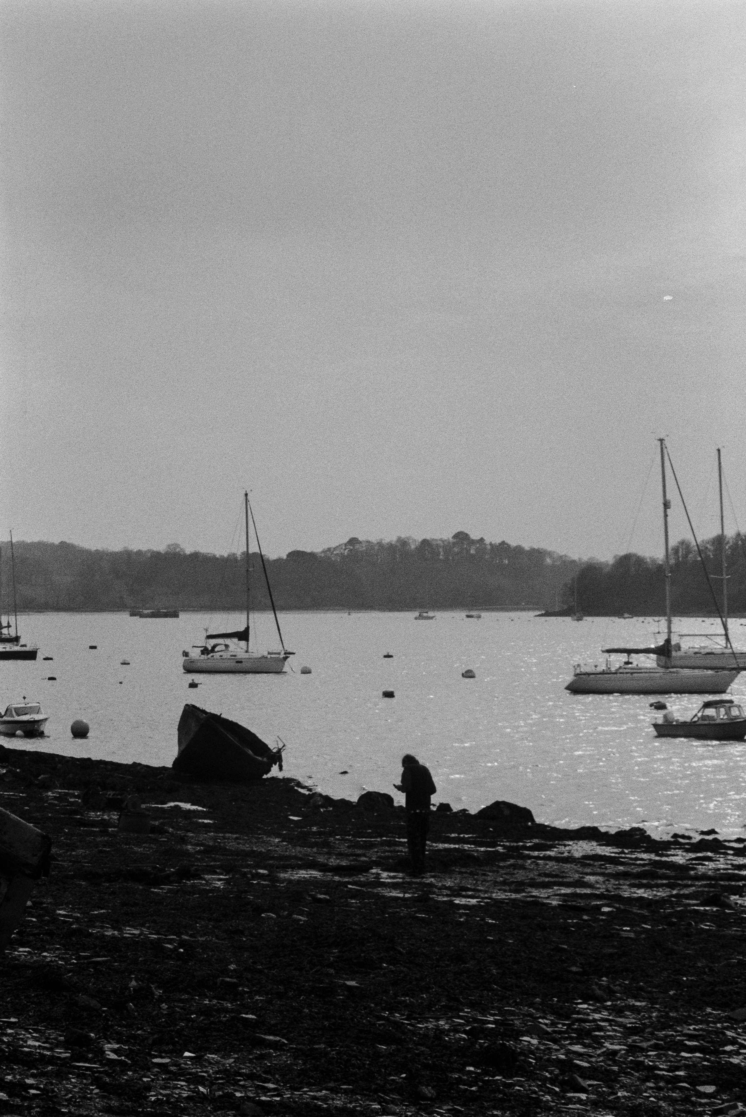 K100BHP 220326 (27) Pentax Zoom 90.jpg