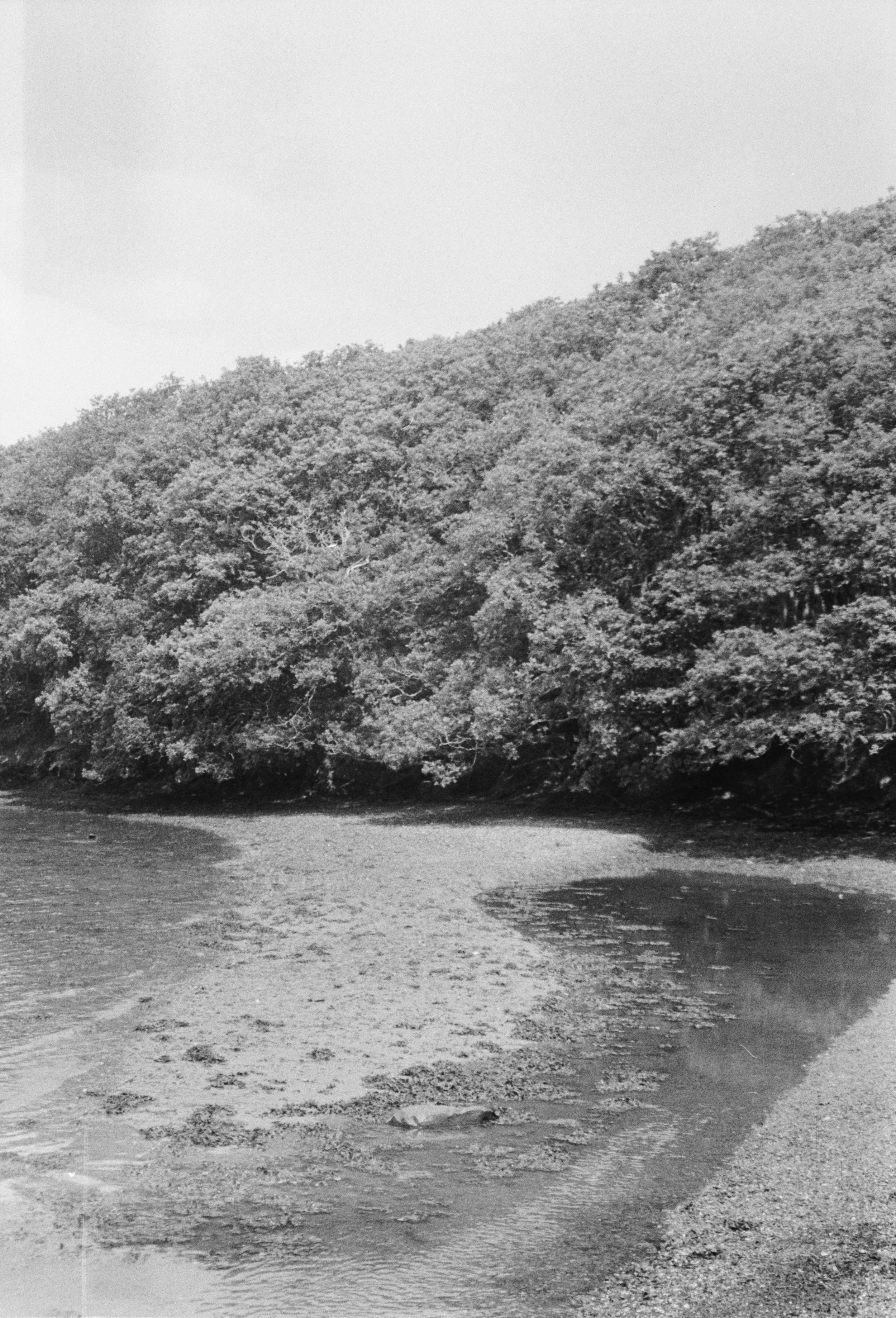 Type 517 A 120526 (9) Konica Z-Up 70 VP.jpg