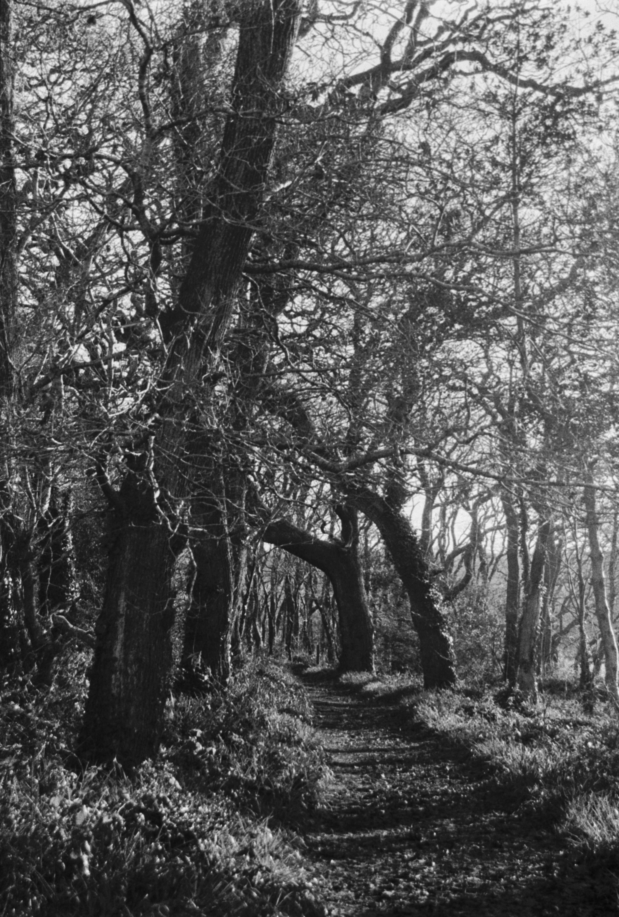 K400 BHP 221225 (33) Canon EOS 500n 28-80mm.jpg