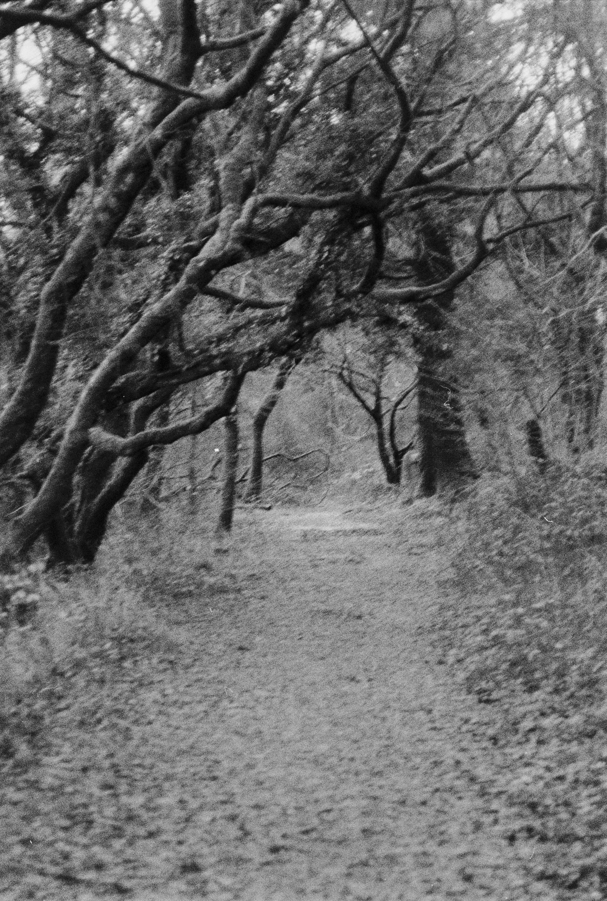 K400 B HP 101225 (34) Minolta Dynax 404si 35-80.jpg