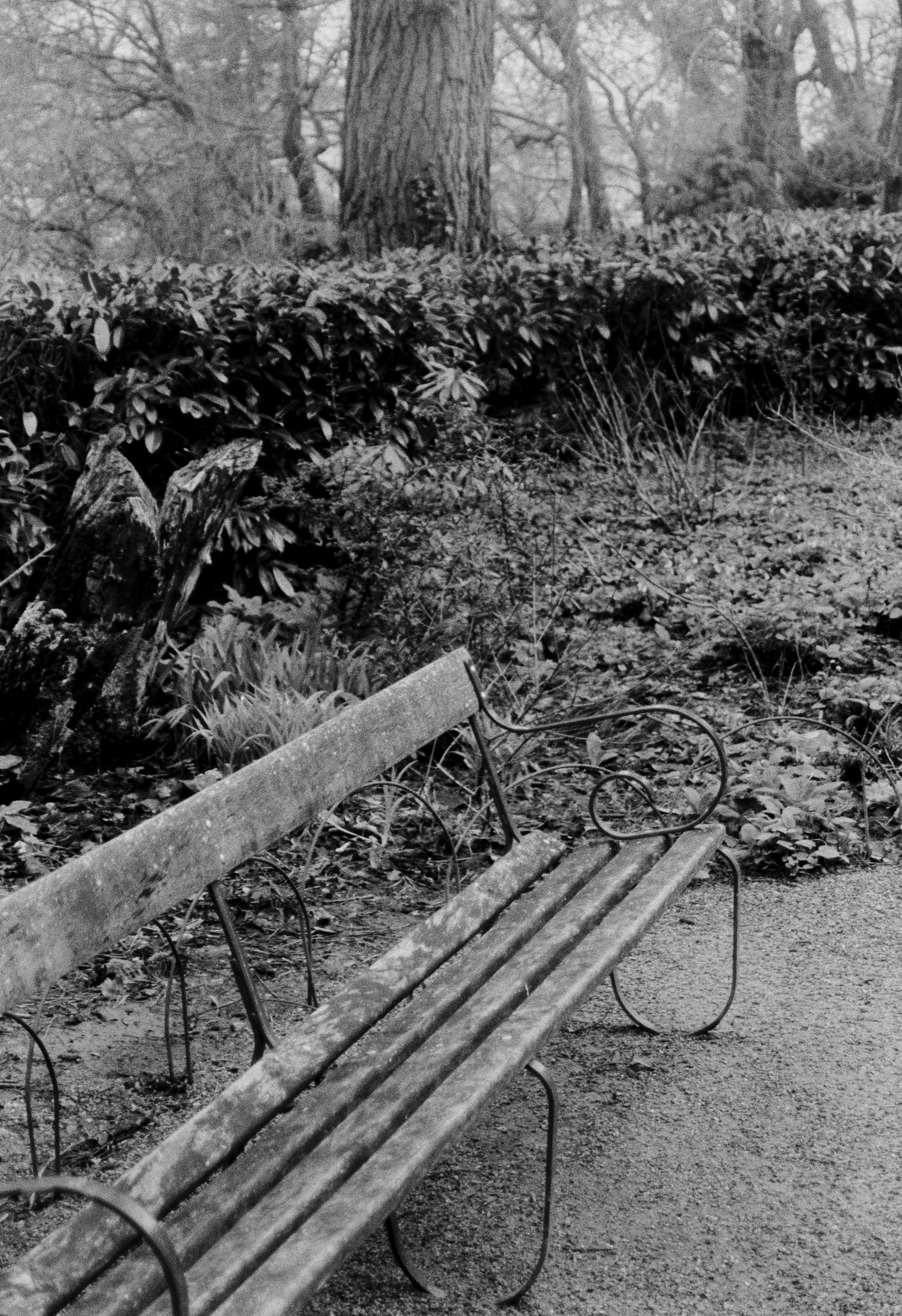 K200 A 210226 (13) Minolta Dynax 360si 28-80.jpg