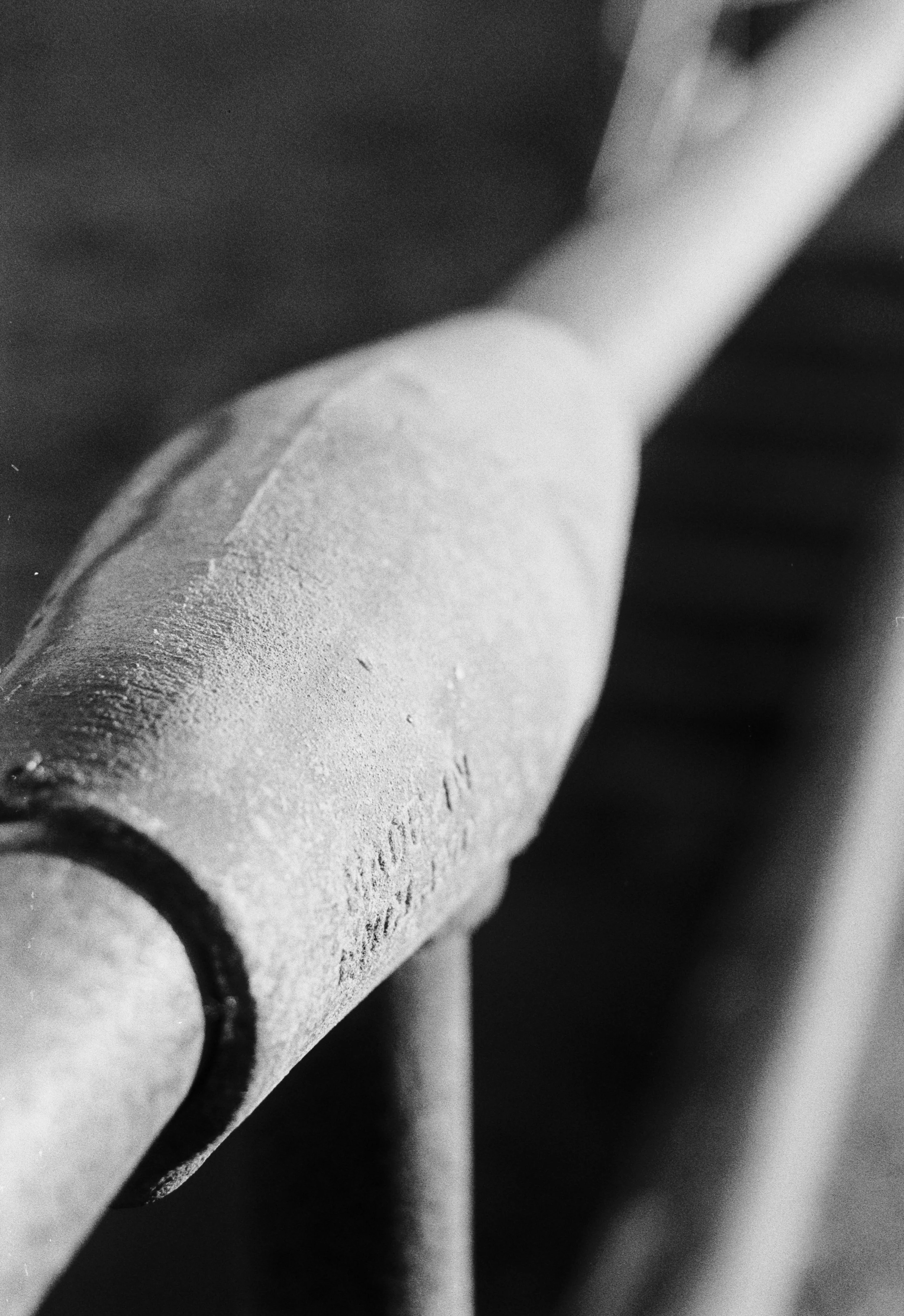 K200 A 060126 (15) Minolta Dynax 300si 35-70mm.jpg