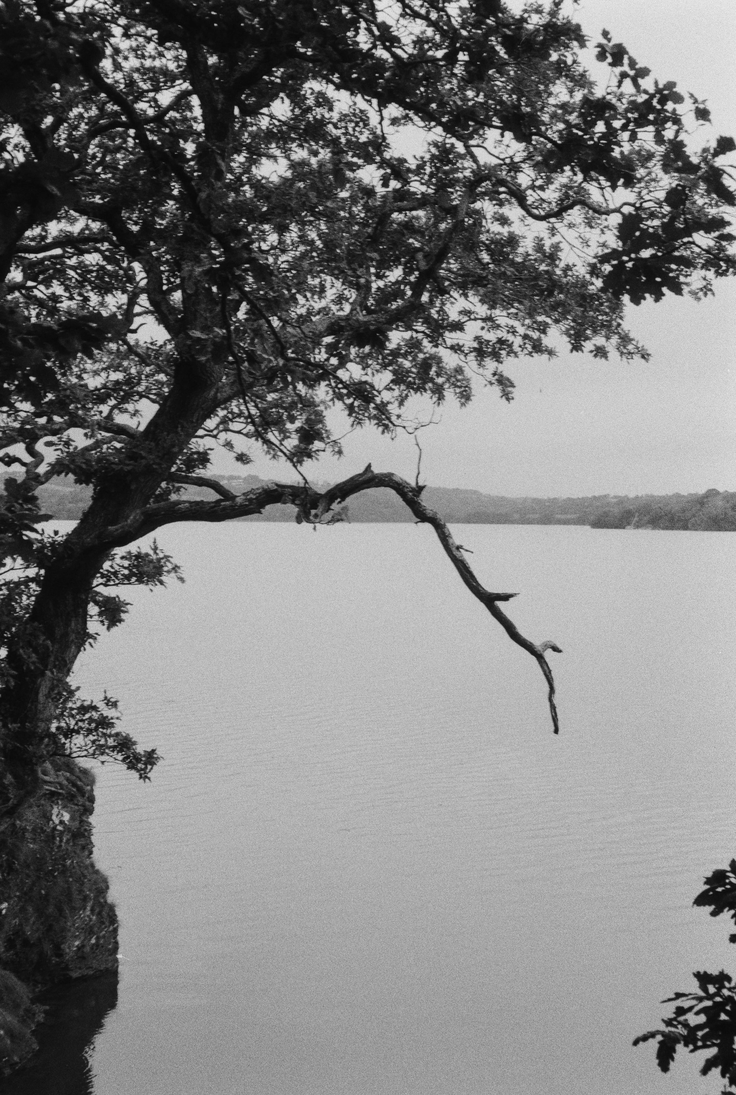 K400A 020925 (16) Pentax IQZoom EZY.jpg