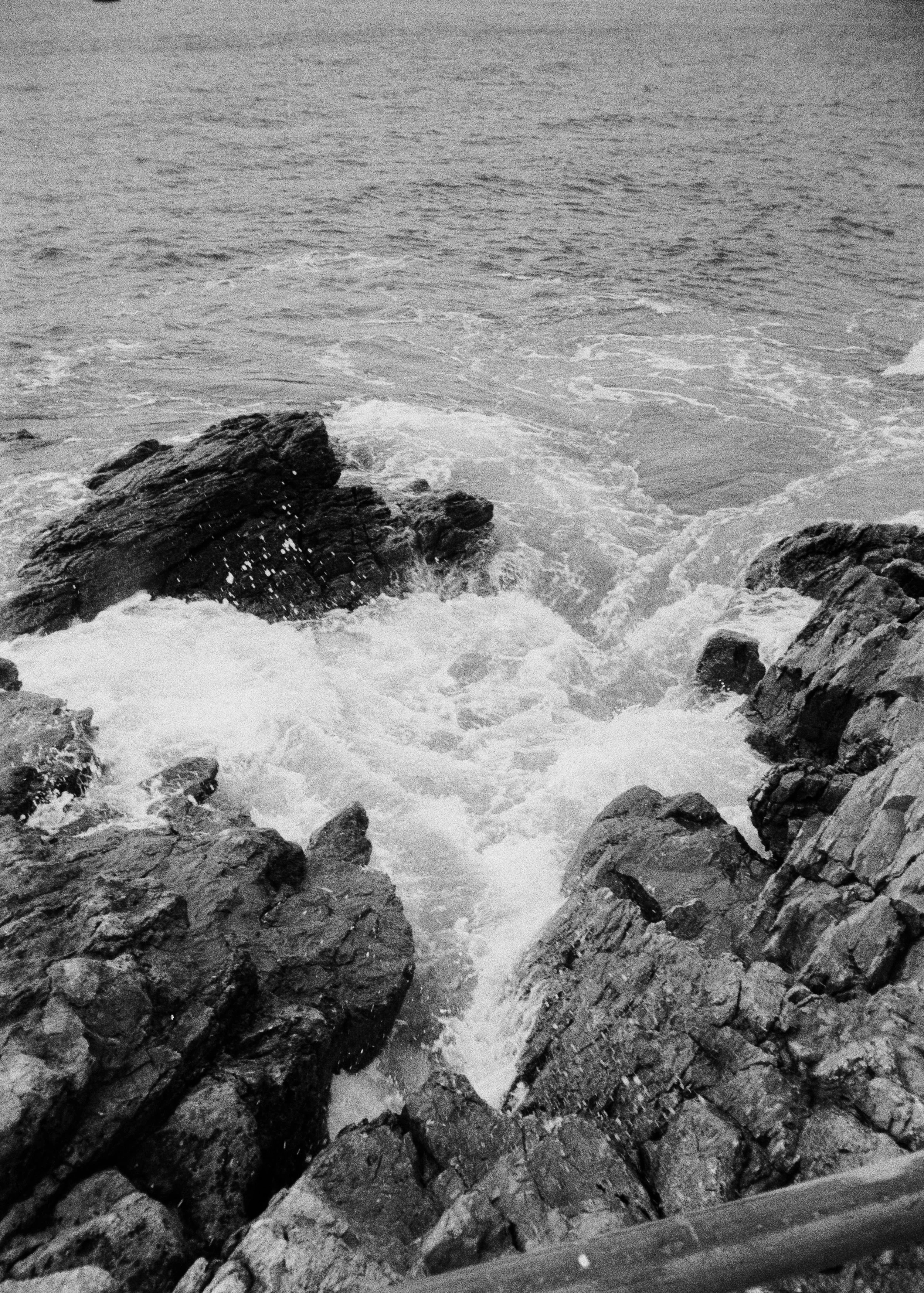 K400 A 280825 (20) Olympus Trip MD2.jpg