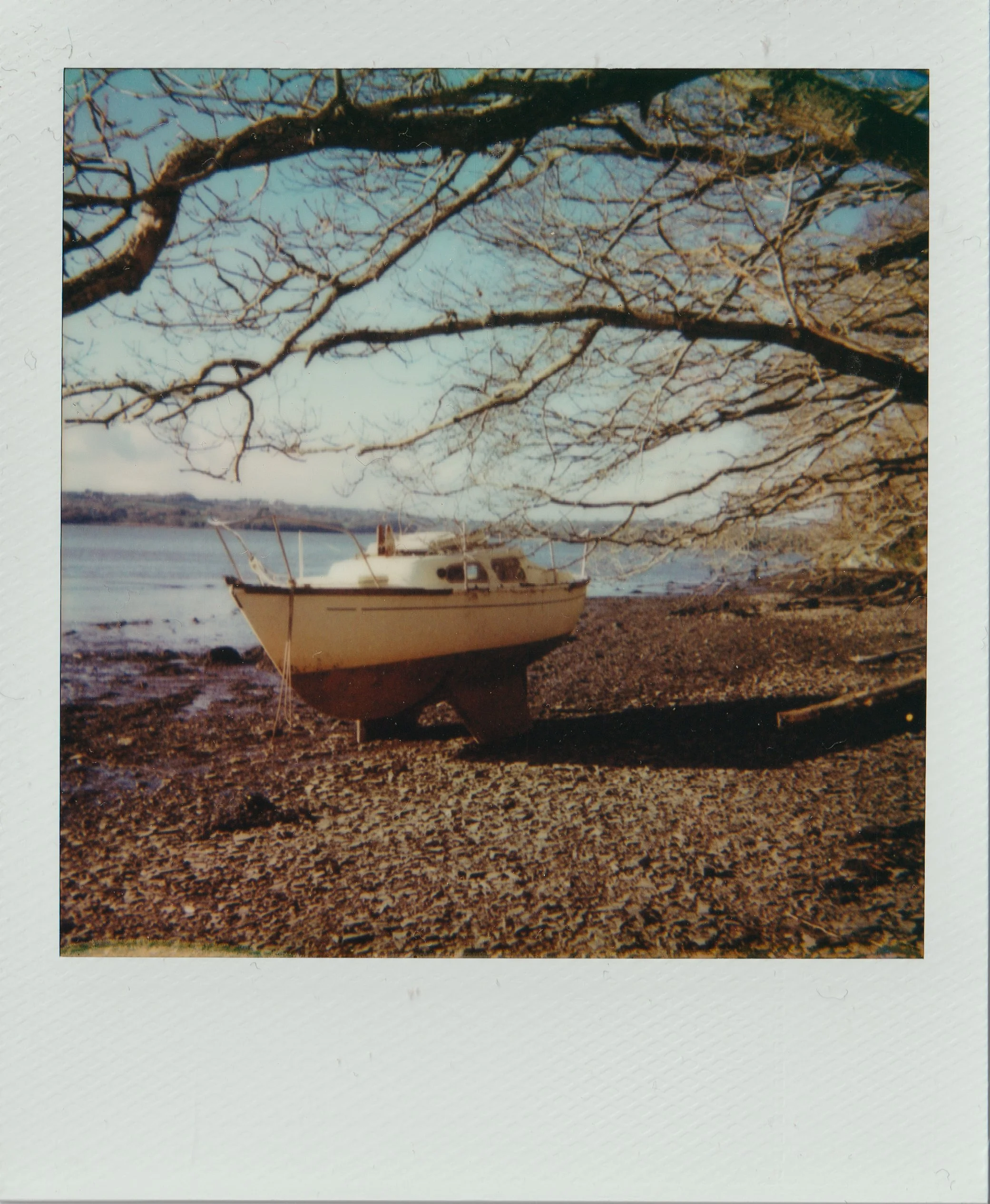 Polaroid 600 050125 (1) 670AF.jpg