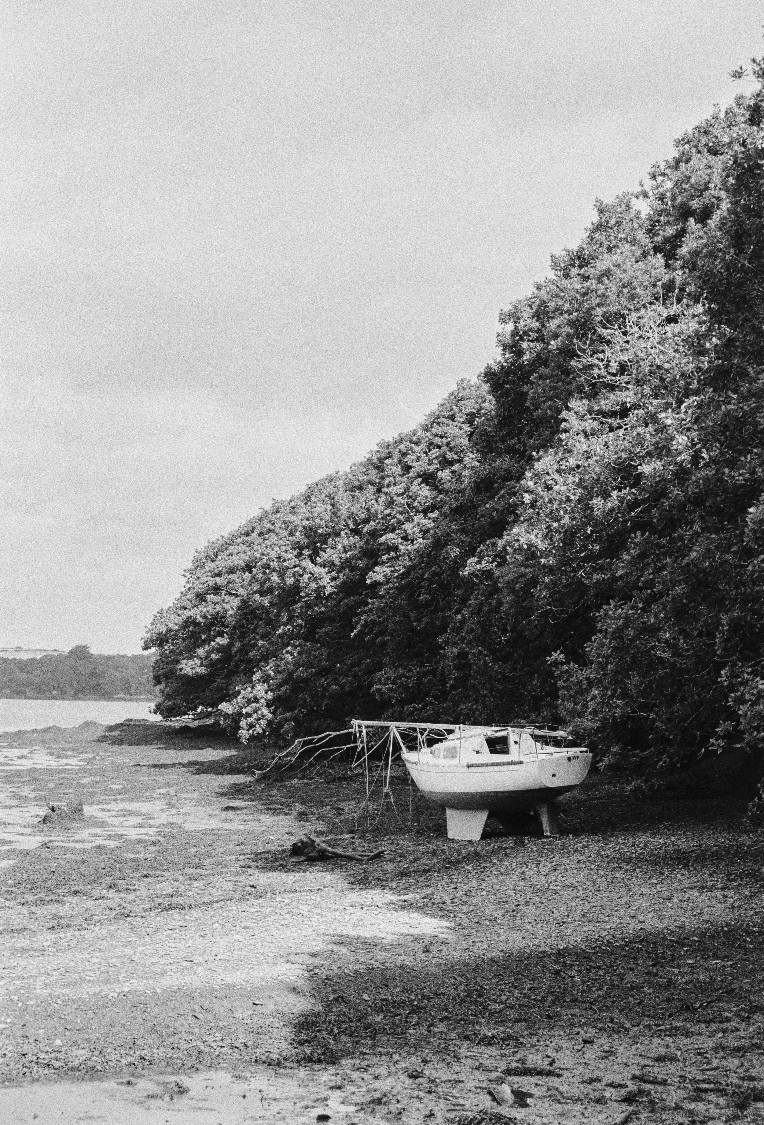 K400 A 140625 (24) Olympus OM101 35-70mm.jpg
