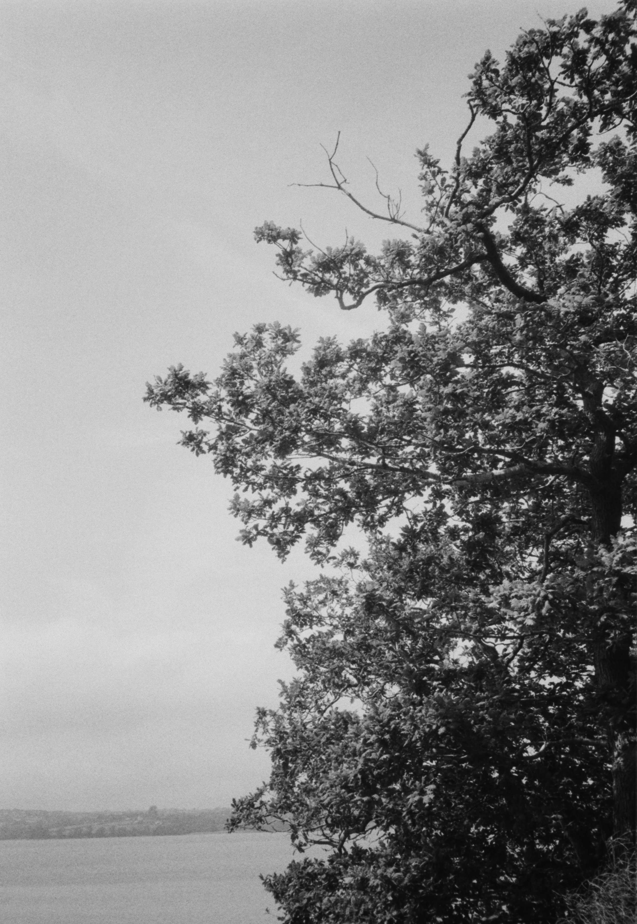 K400 BHP 120526 (10) Ricoh FF-9.jpg