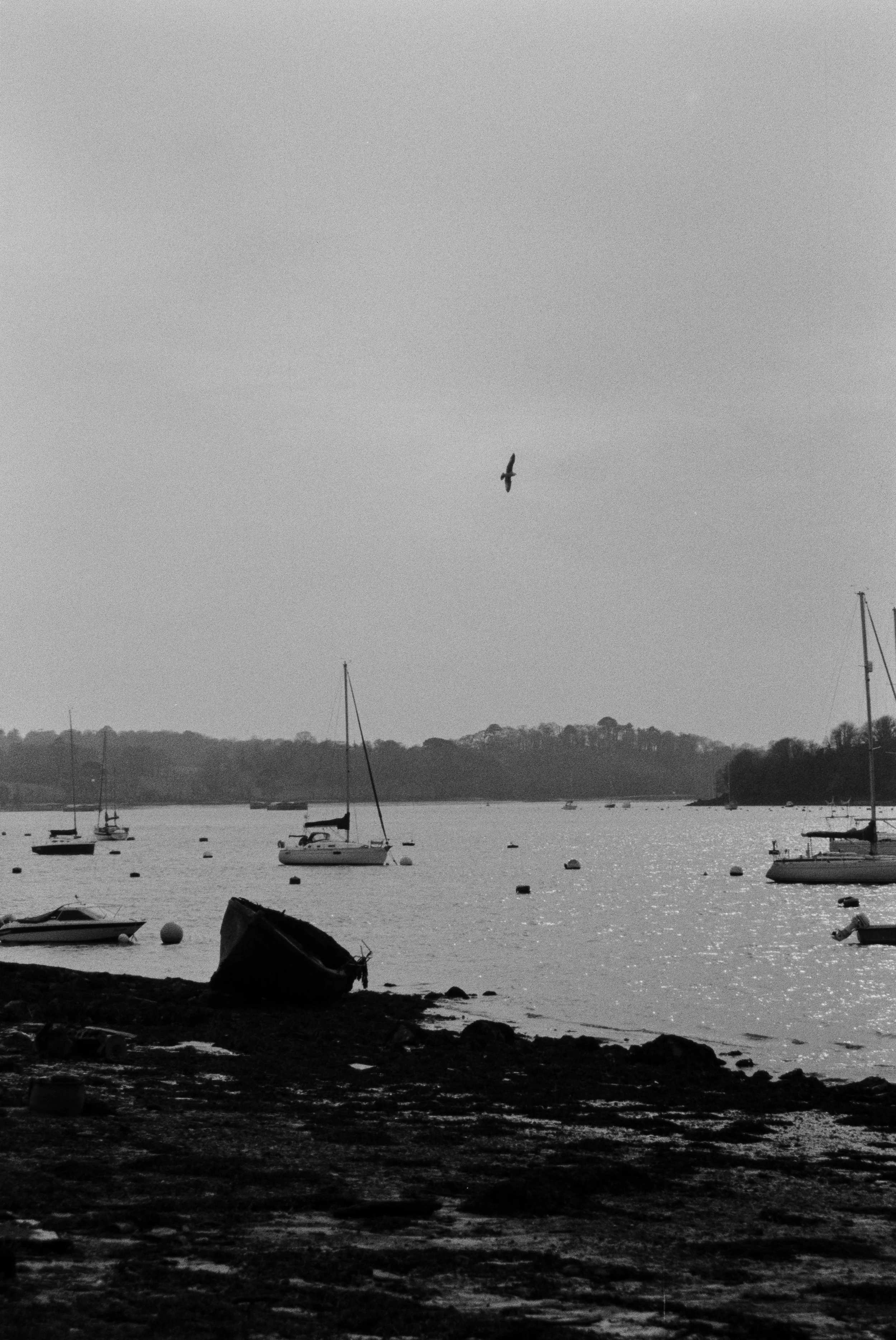 K100BHP 220326 (21) Pentax MZ-50 35-80mm.jpg