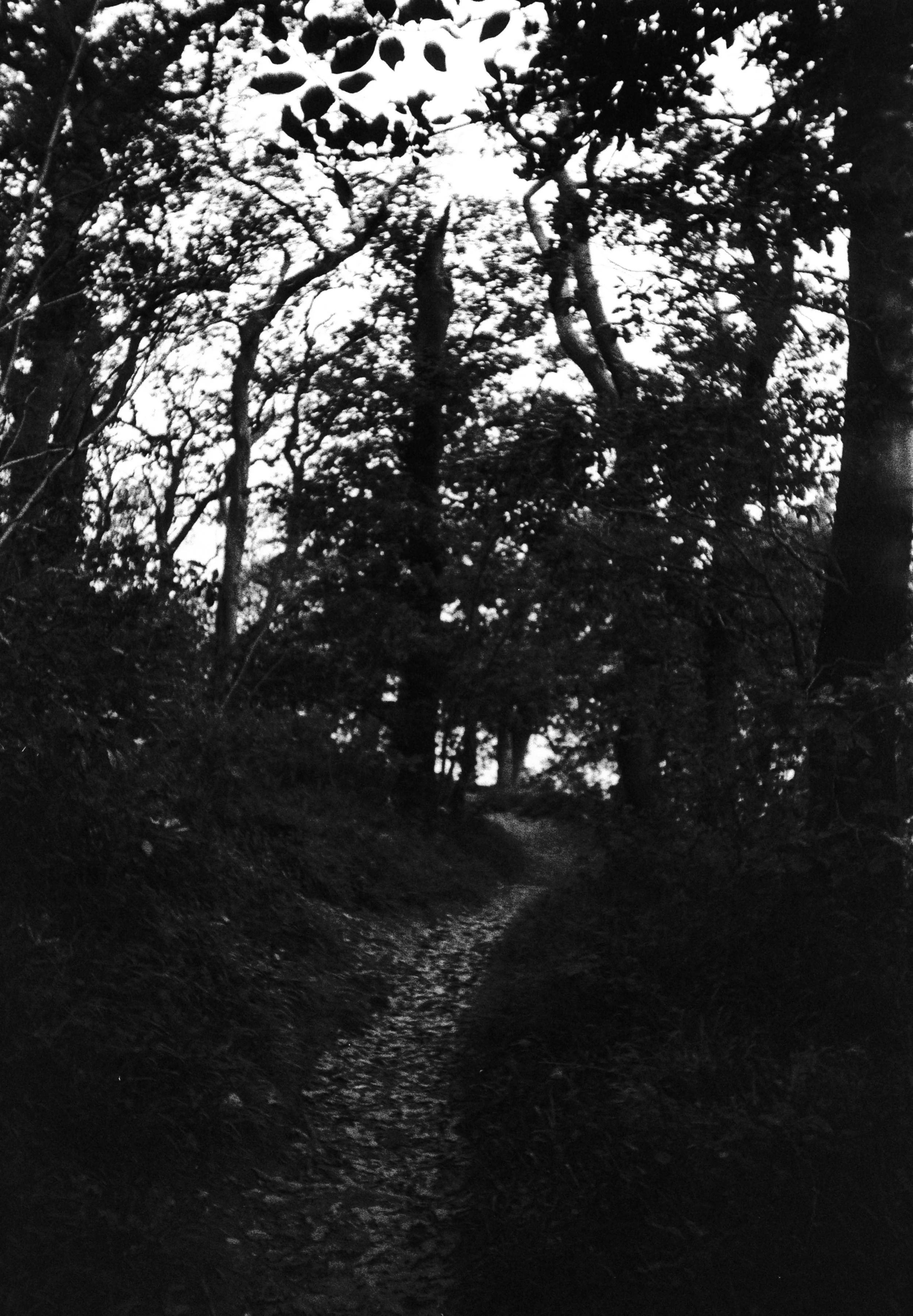 K400A 131025 (10) Hanimex 35HF.jpg