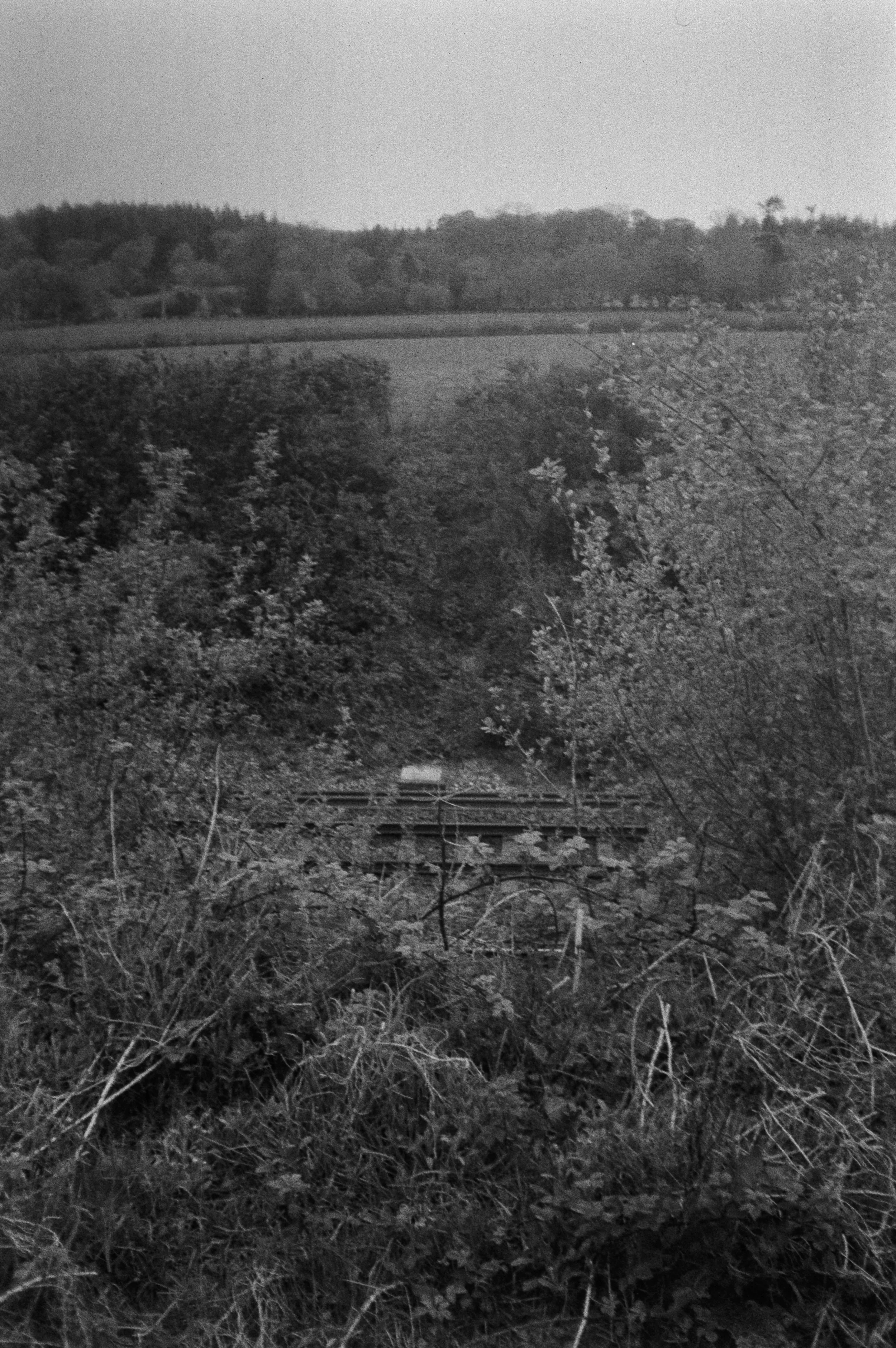 K100 BHP 190426 (16) Minolta AF-E II.jpg