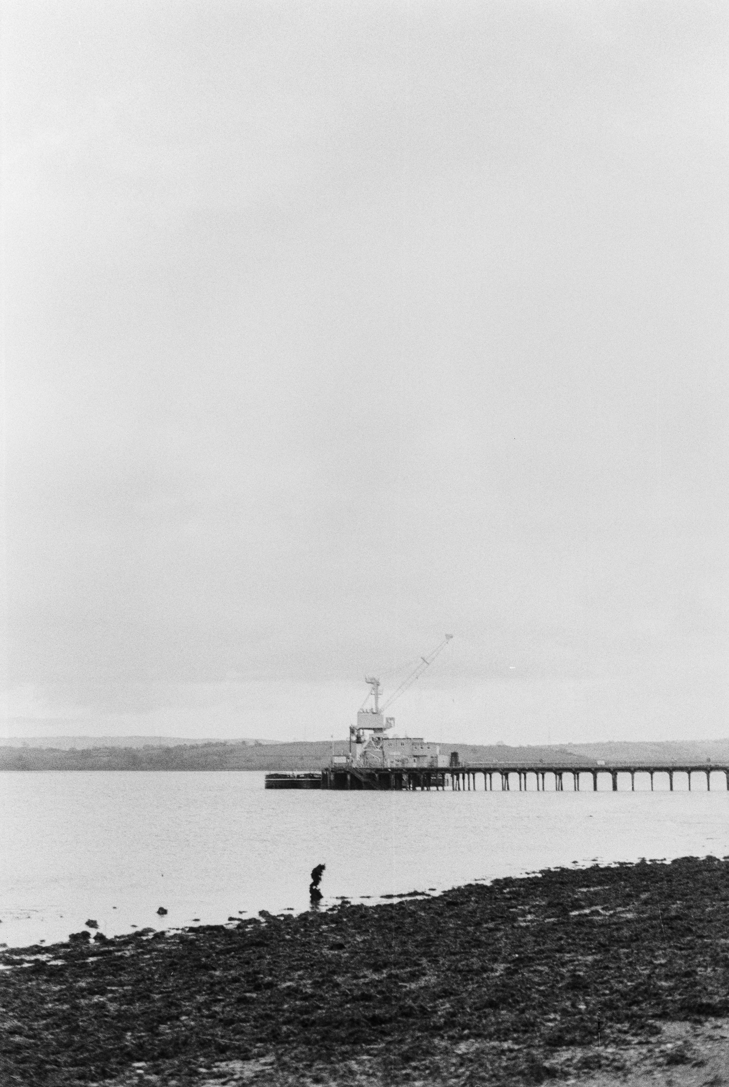 K100 A 140126 (27) Ricoh KR-10 Super.jpg