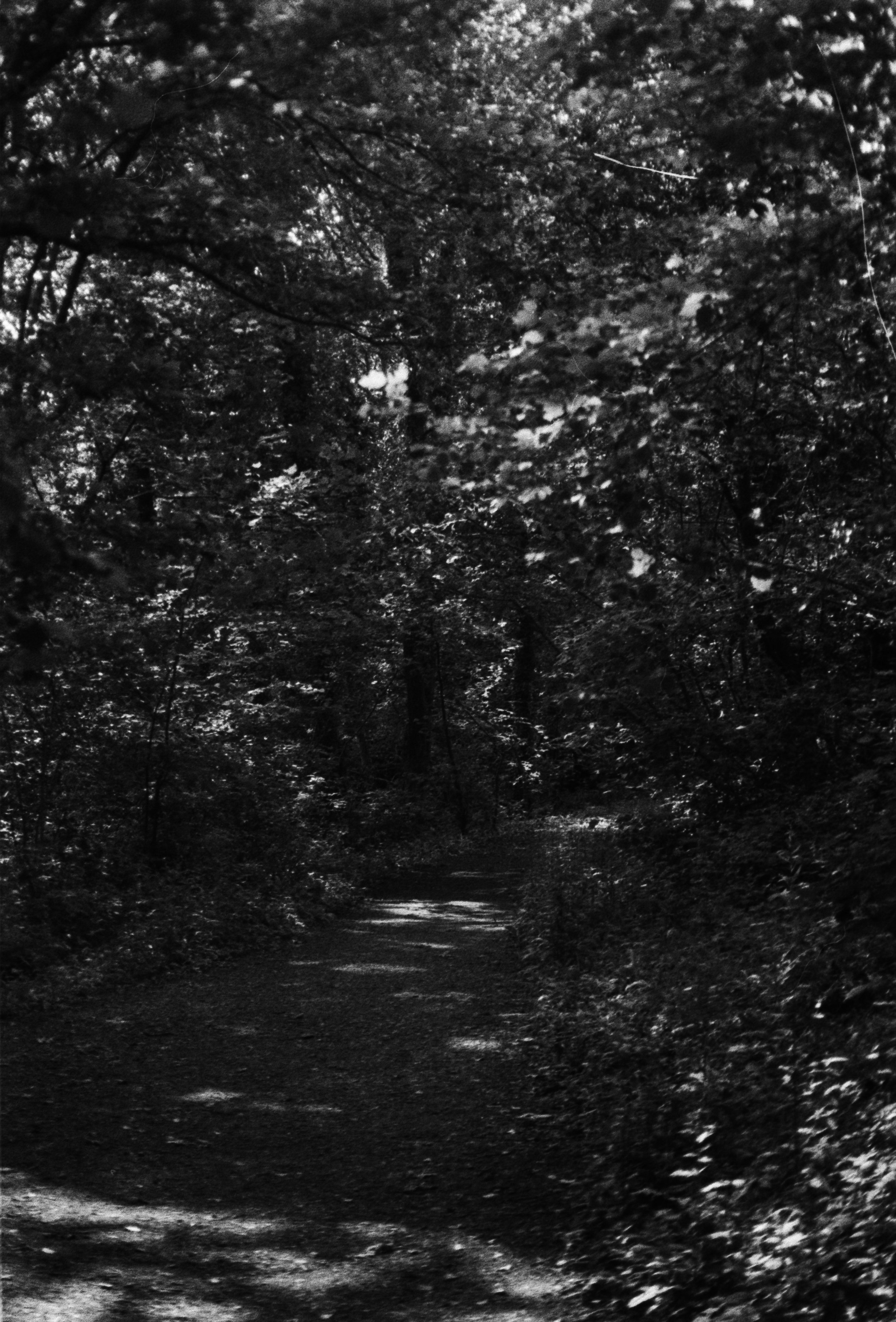 K400A 120526 (16) Yashica 270.jpg