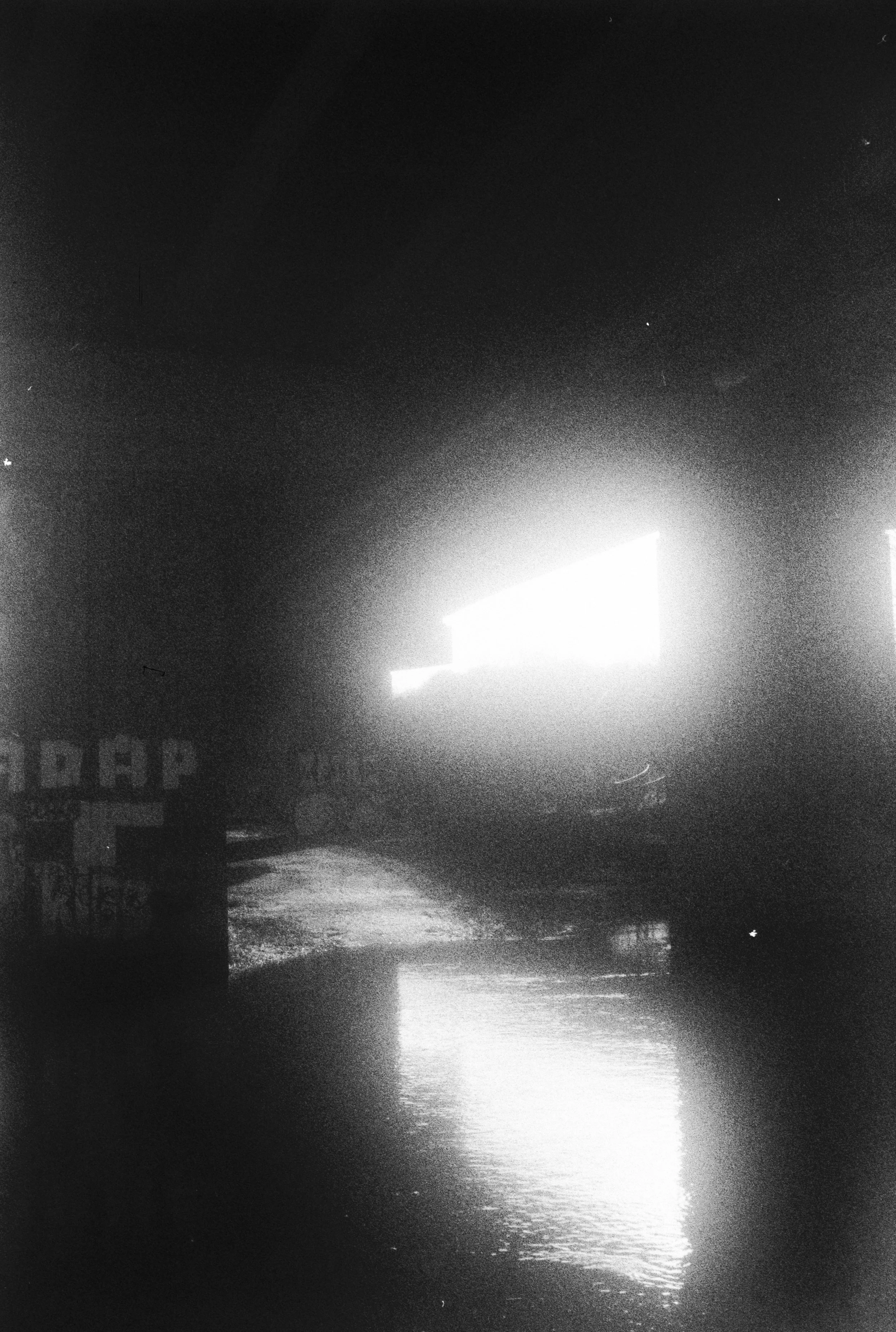 Fomapan 200 061225 Torn (14) King Regulette.jpg