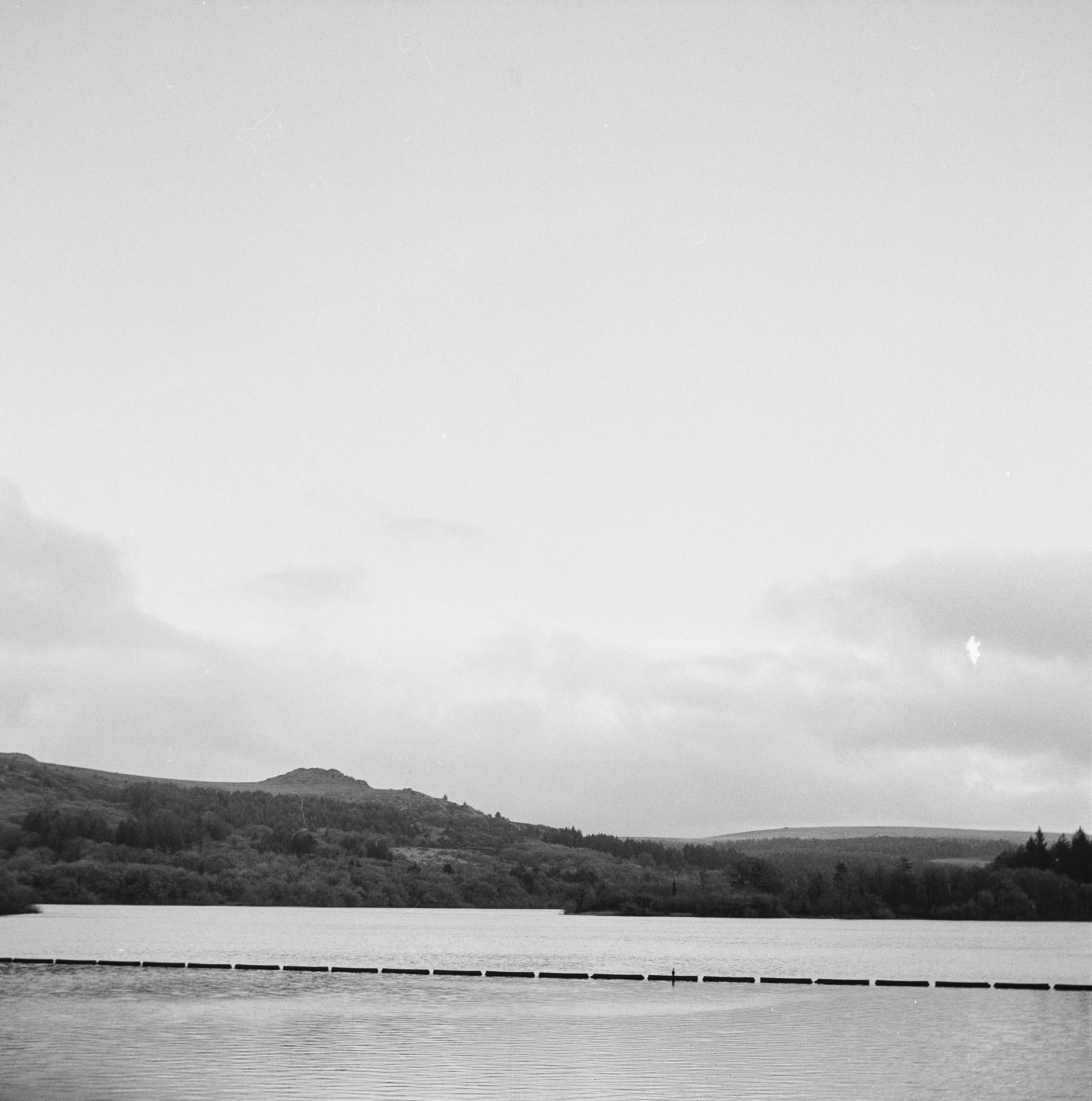 120 Kentmere 200 151225 (5) Lubitel 166 Universal.jpg