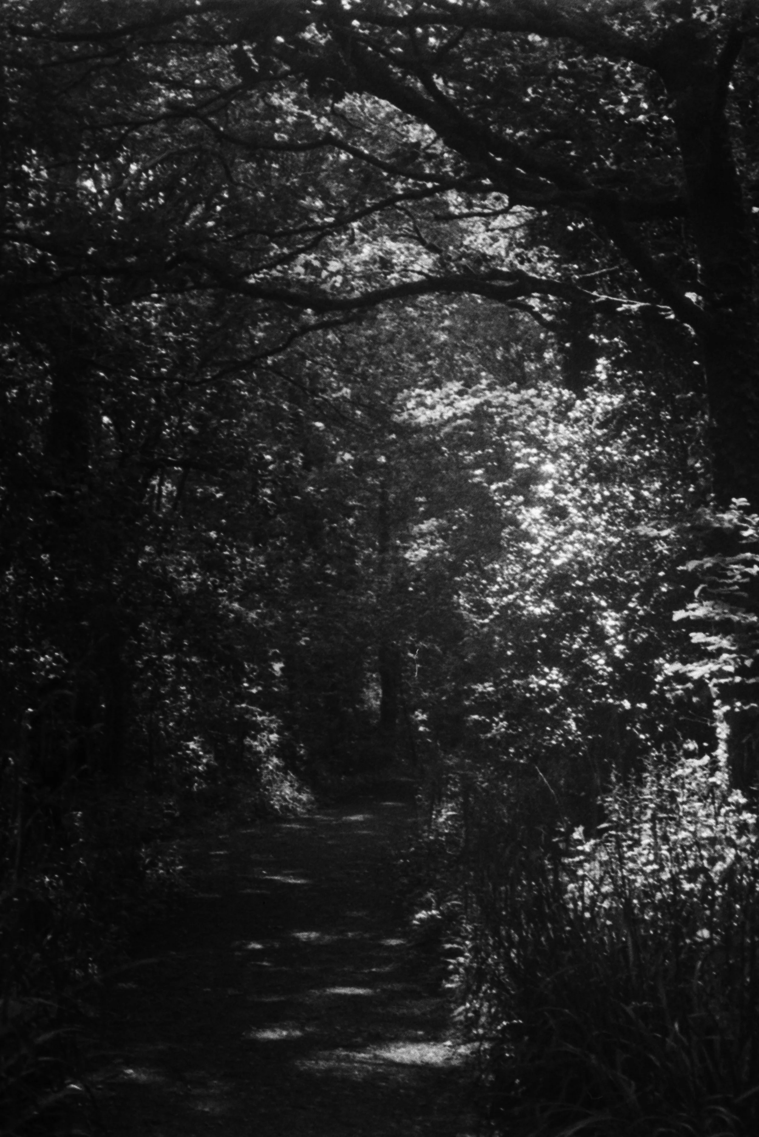 K400A 120526 (21) Pentax Zoom 90 WR .jpg