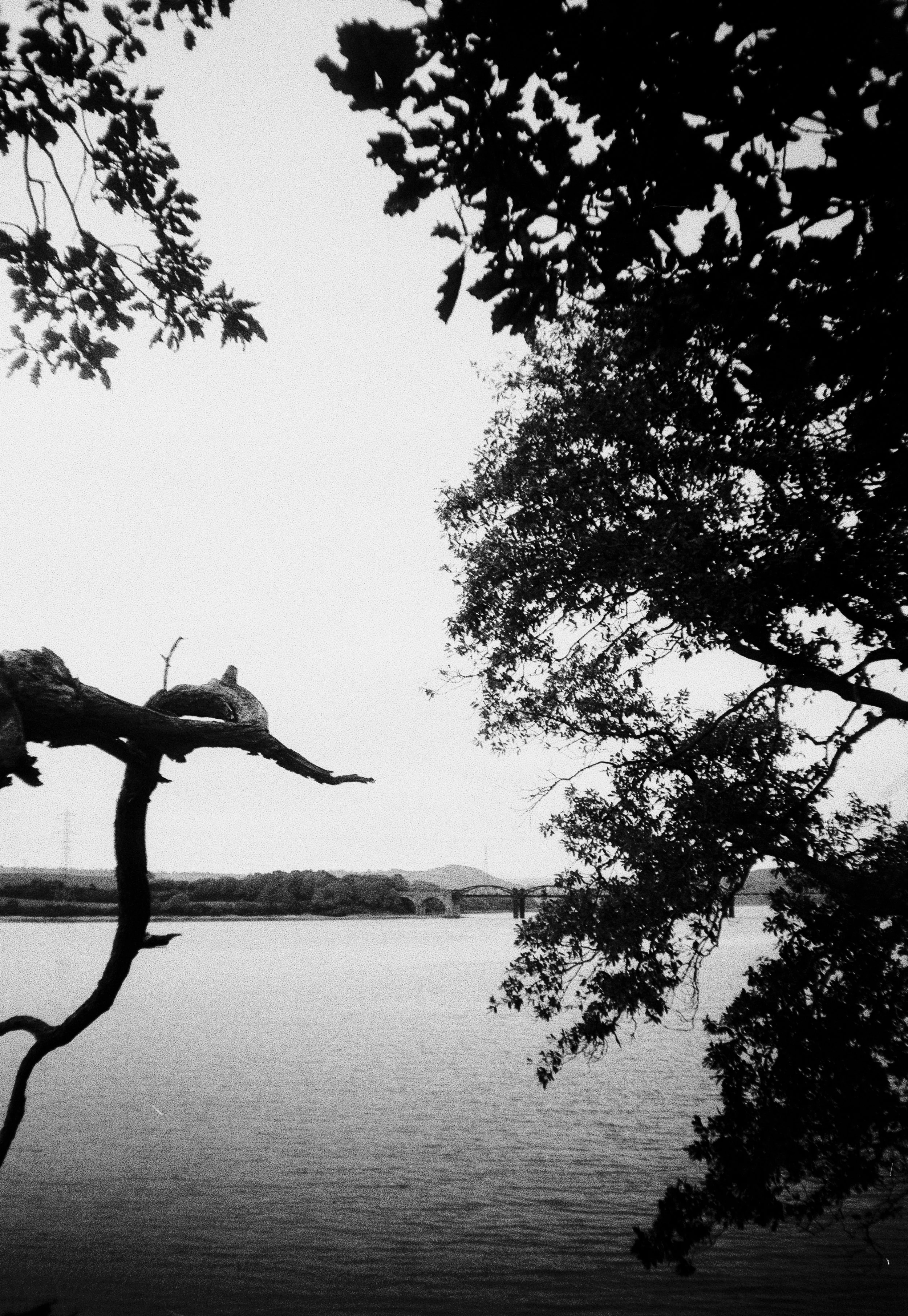 K200B HP 24 131025 (16) Nikon AF200.jpg