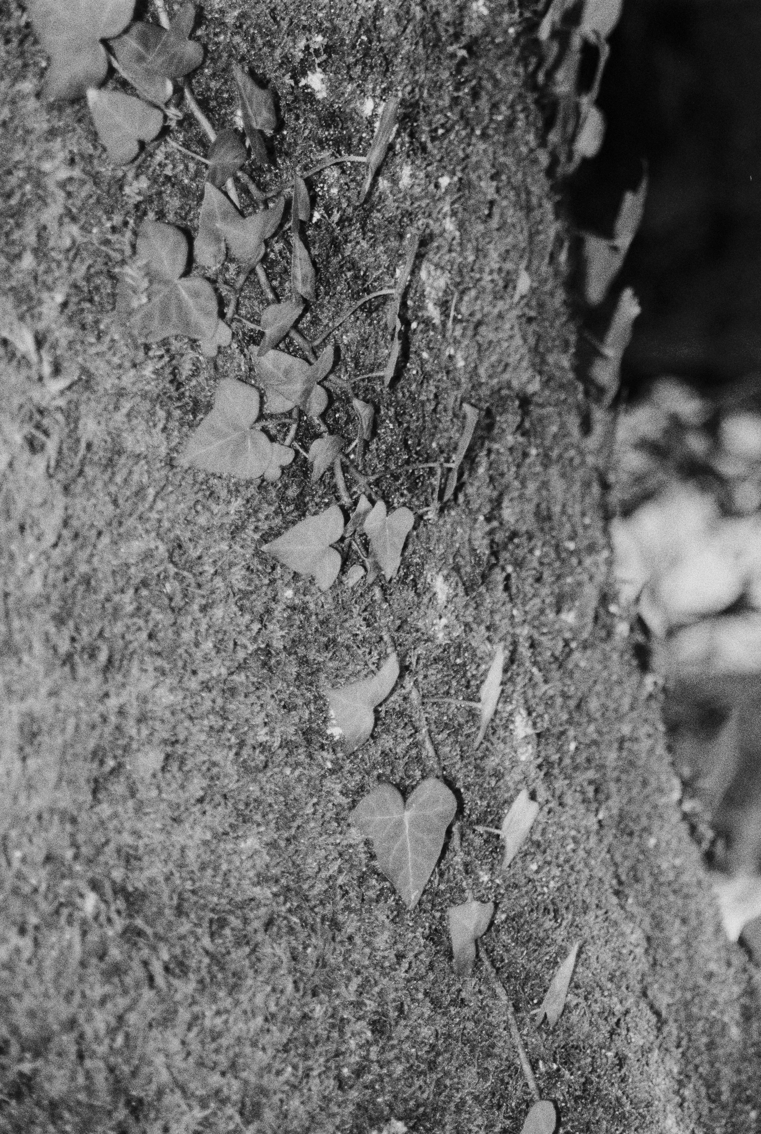 K400 B HP 101225 (33) Minolta Dynax 404si 35-80.jpg