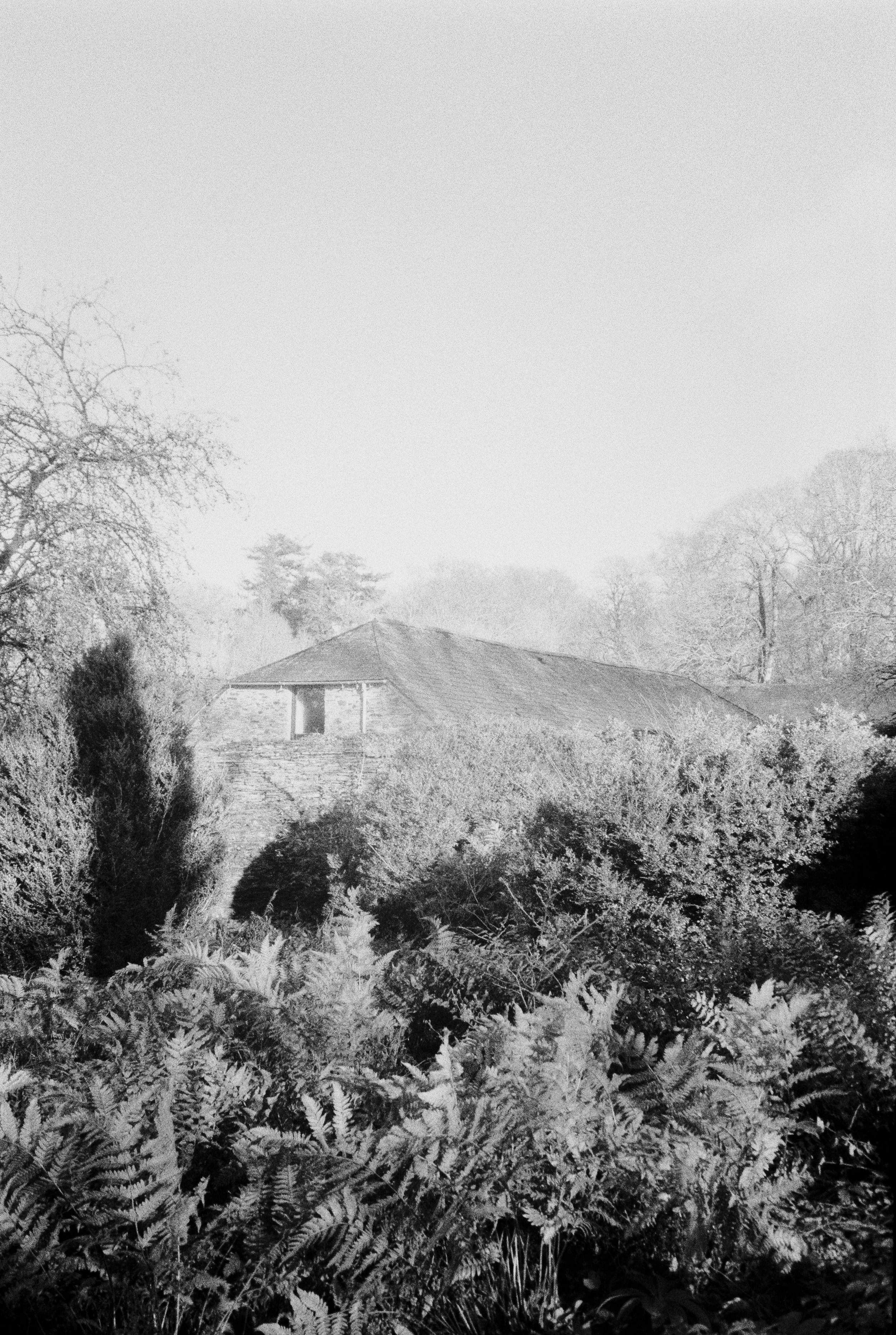 K400 A 101225 (37) Ricoh RZ-900 Date.jpg