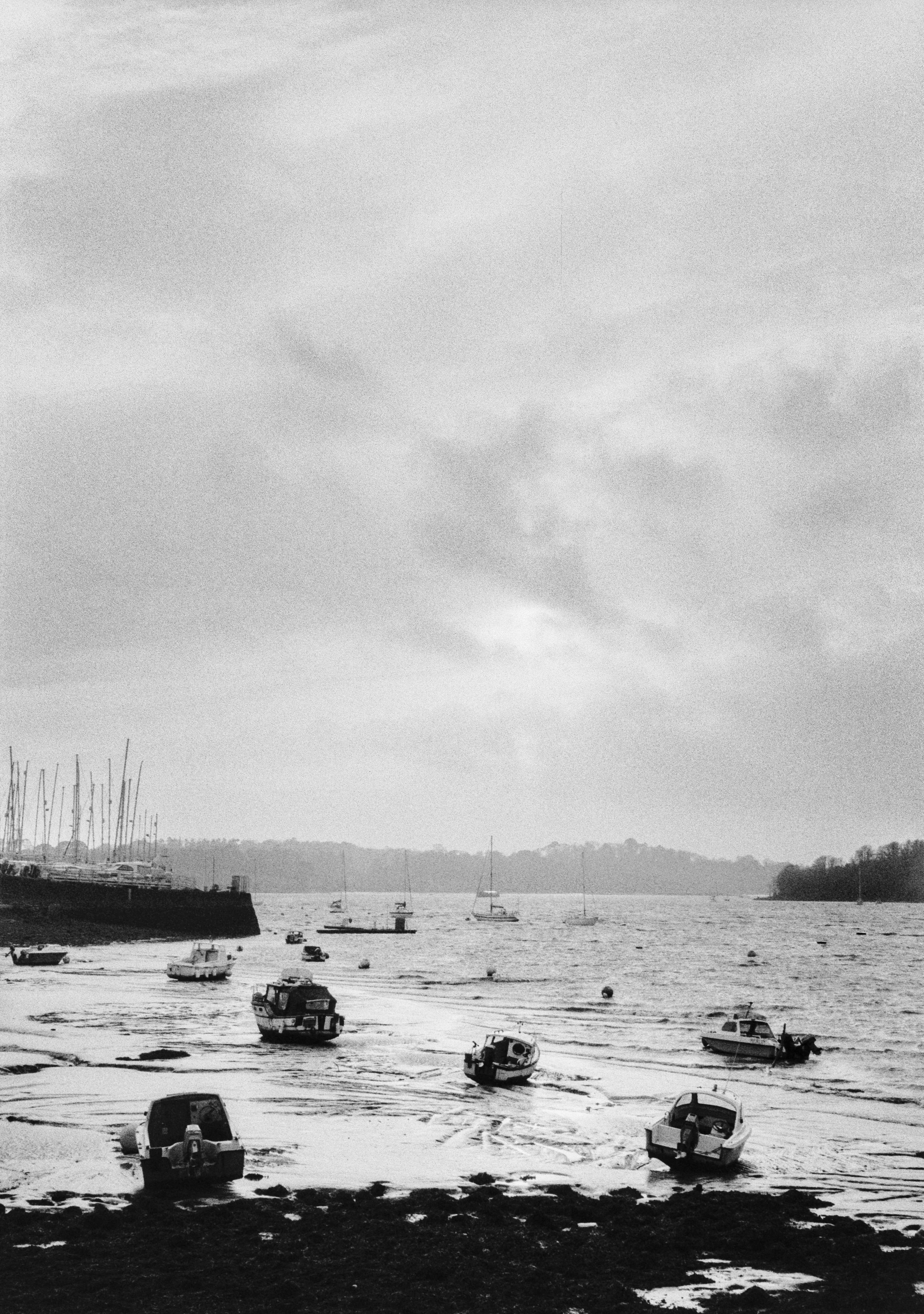 Kentmere 200 A 061225 (12) Samsung IBEX 2X (crack).jpg