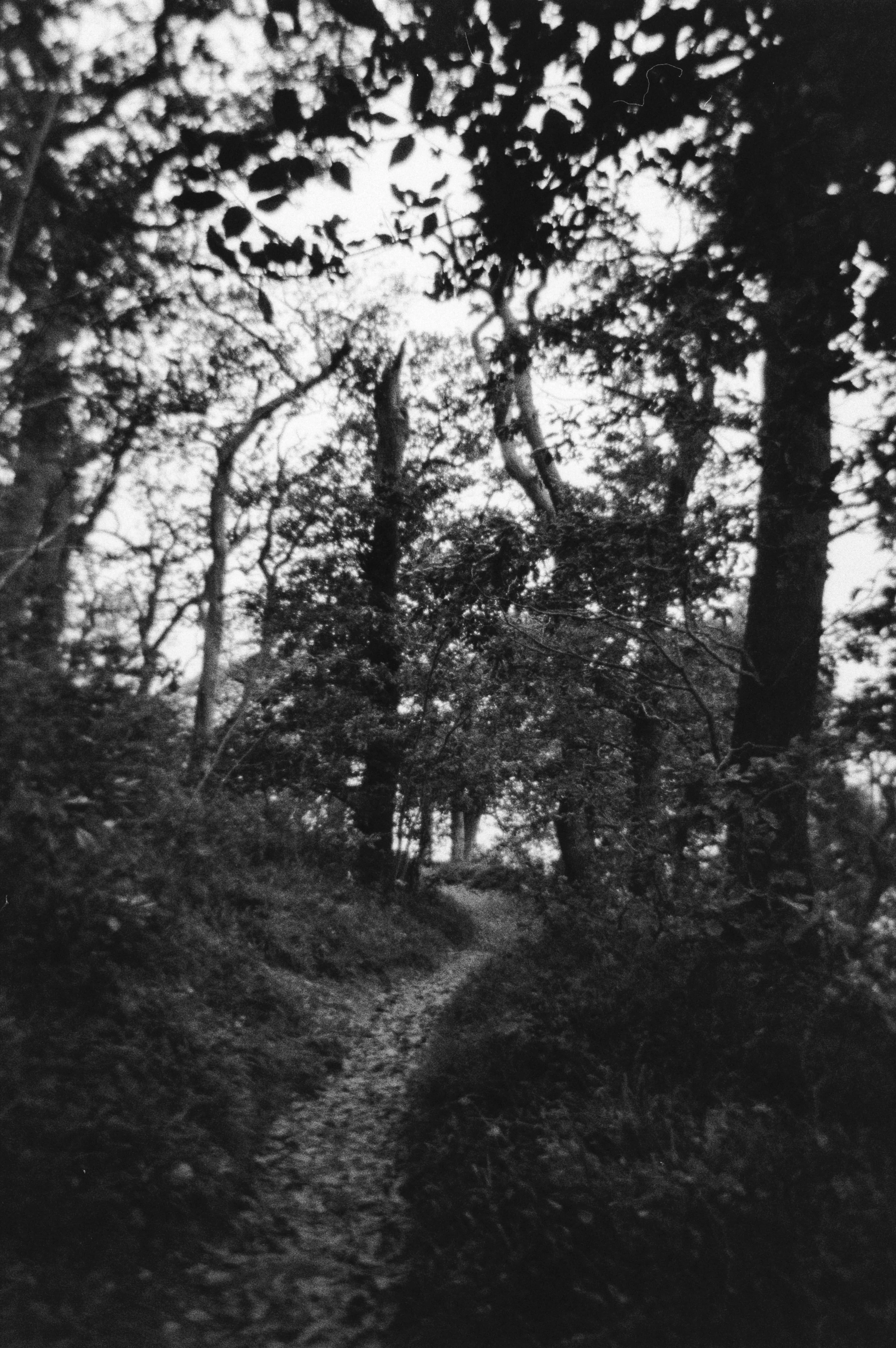 K400B HP 131025 (6) - Spacing Vivitar T201 .jpg