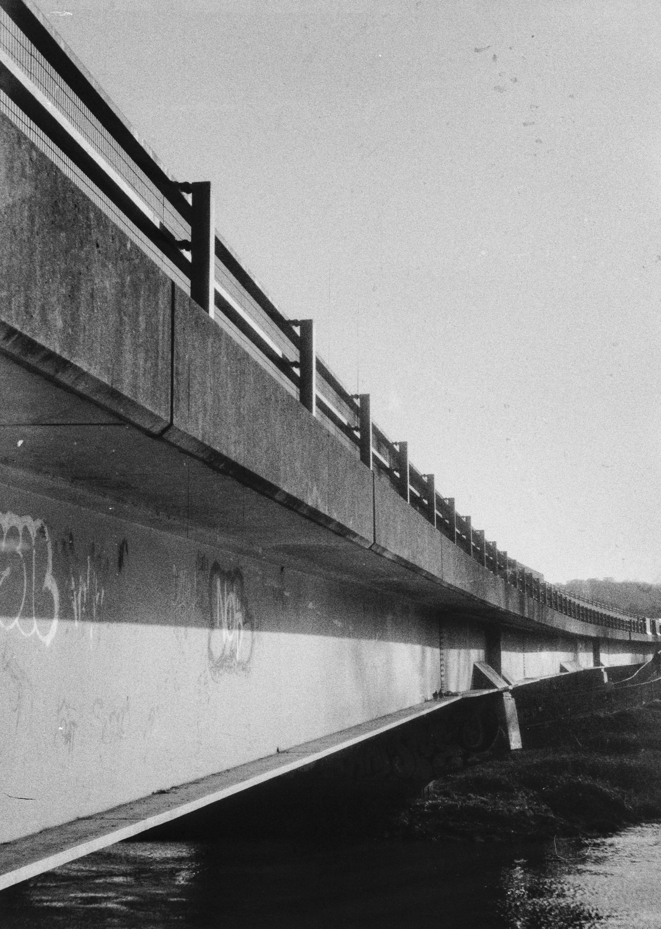 Fomapan 200 061225 Torn (17) King Regulette.jpg