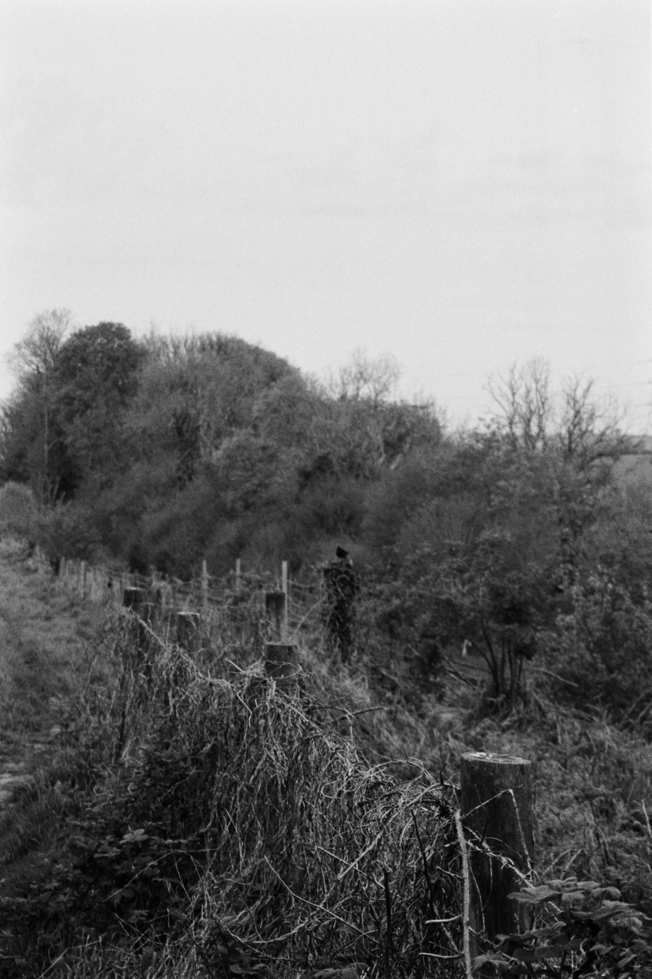 K100 A 1904262 (7) Pentax Espio 928.jpg