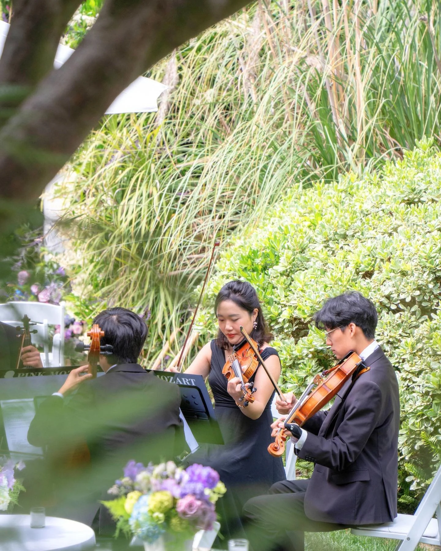 Whimsical garden Wedding with colorful flowers at our favorite place @hotelbelair 💜💕
Our classic string quartet performed guest arrival music, ceremony, and reception ✨🎶
.
.
.
@hotelbelair 
@lamourevent 
@theemptyvase