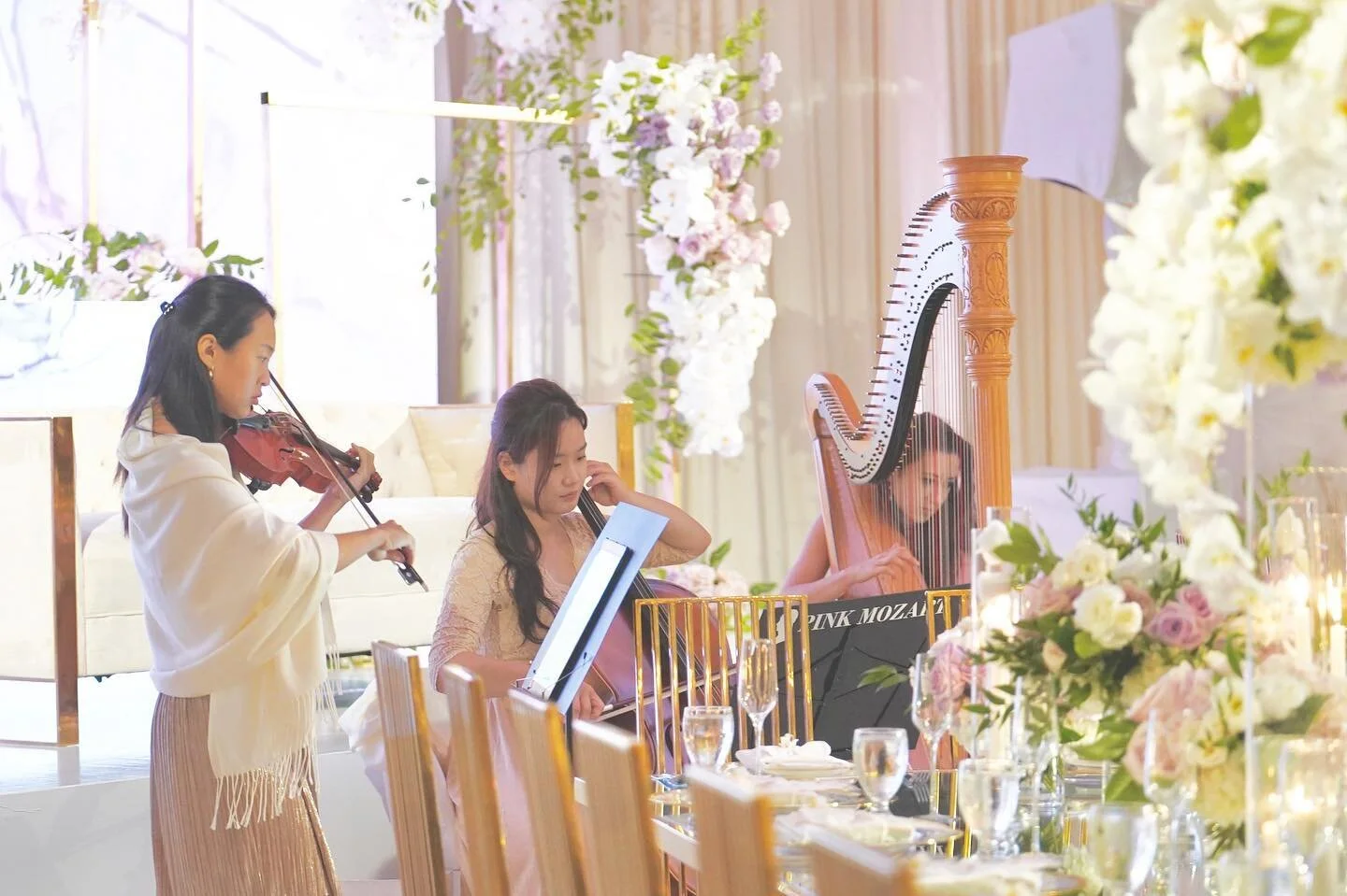 Lush and elegant Indian wedding at the beautiful @paseahotel✨ Our live music theme was Bridgerton-Inspired romantic pop❤️ can it get any better? 
.
.
.
Congratulations @pujaandbobby ❤️
.
.
.
Dream Wedding Team 
@nikaeventsbymonika 
@3dsounds 
@amit_3
